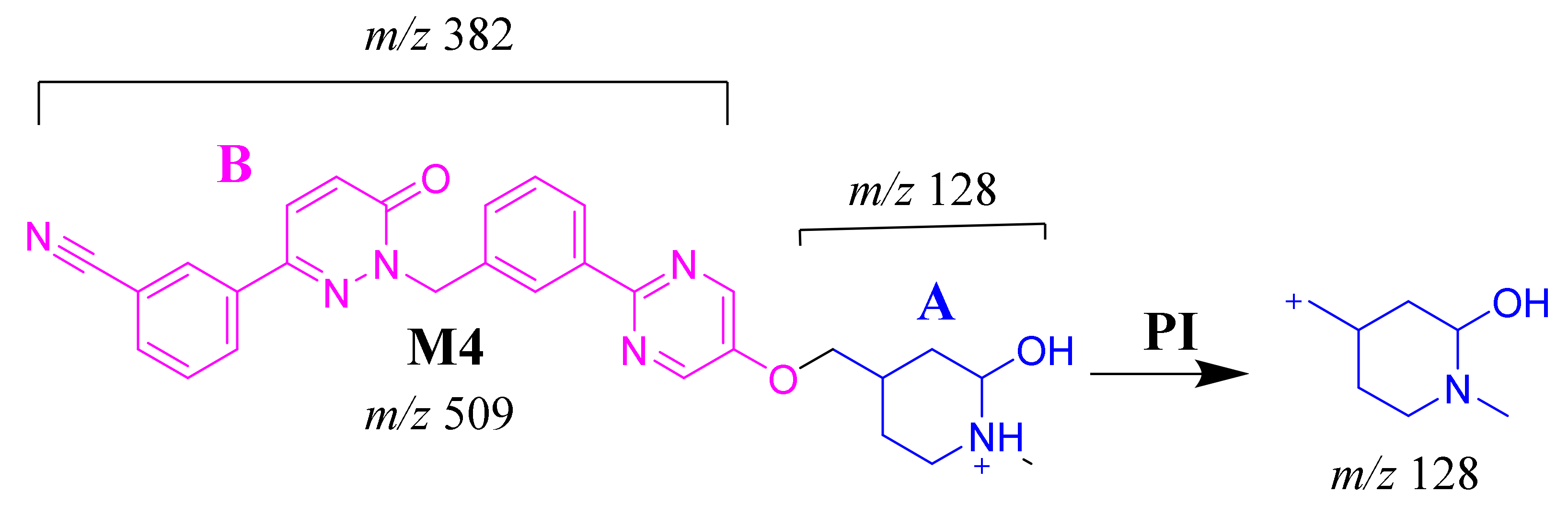 Molecules 25 05004 sch005
