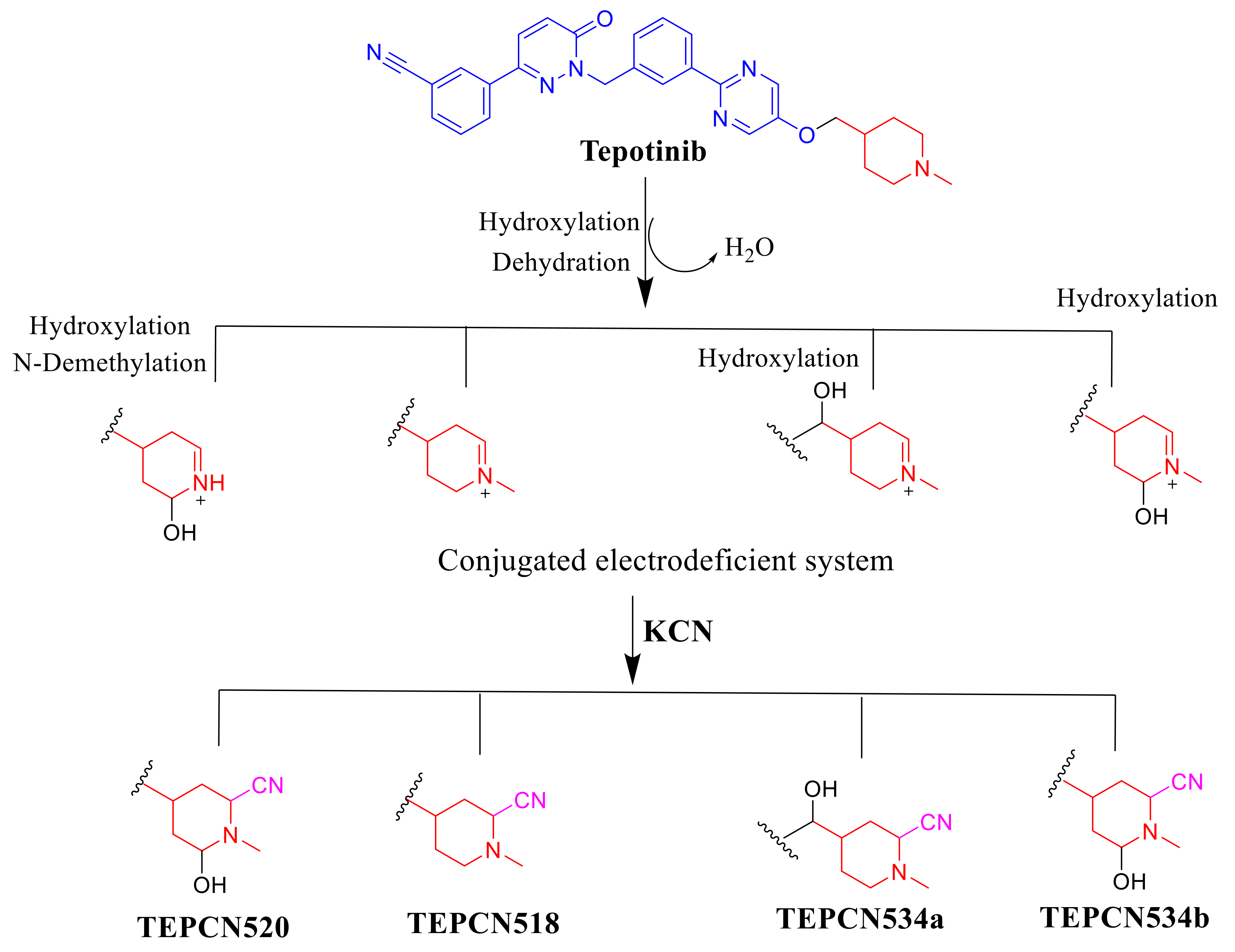 Molecules 25 05004 sch010