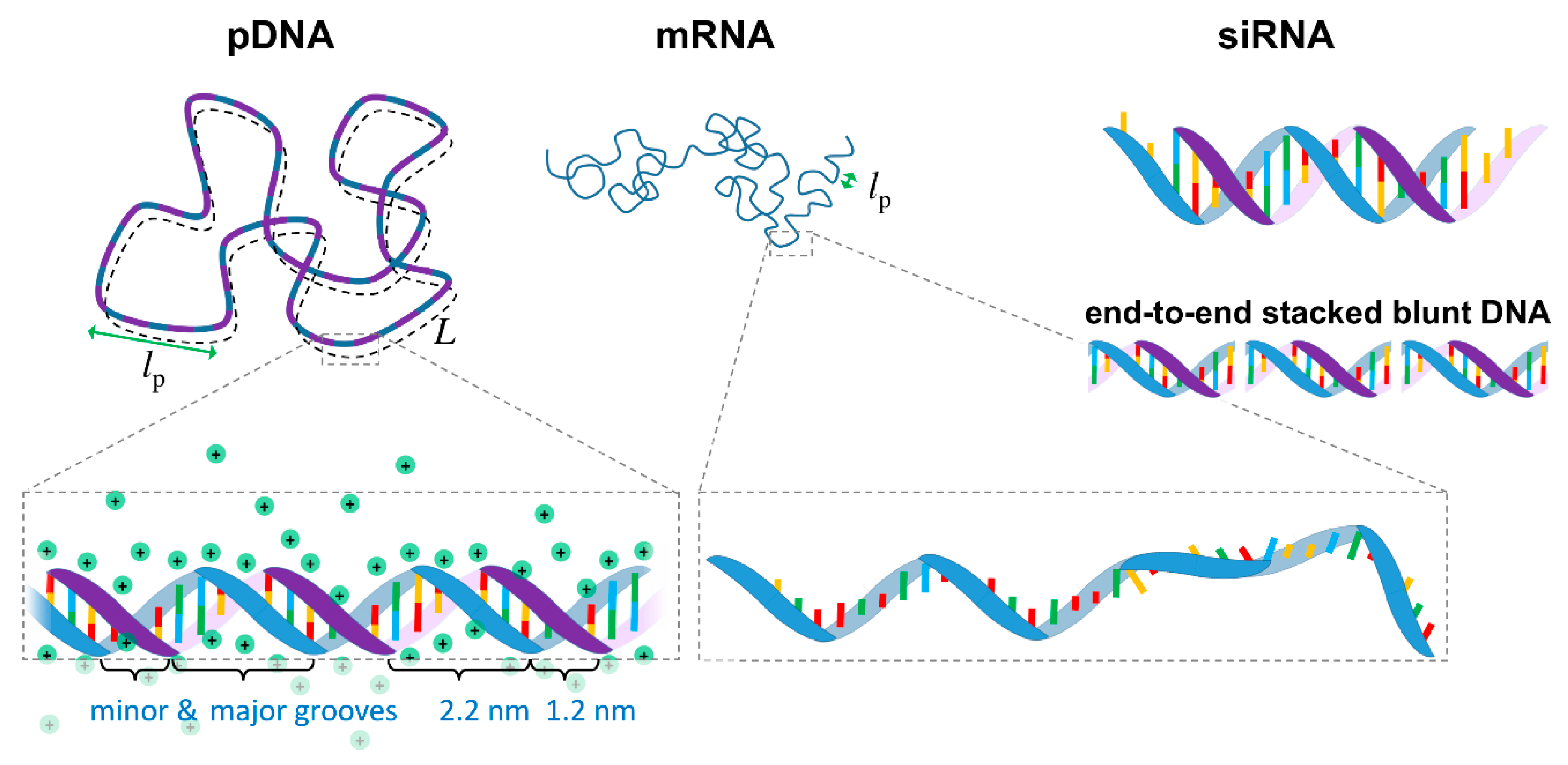 Molecules 25 05006 g001