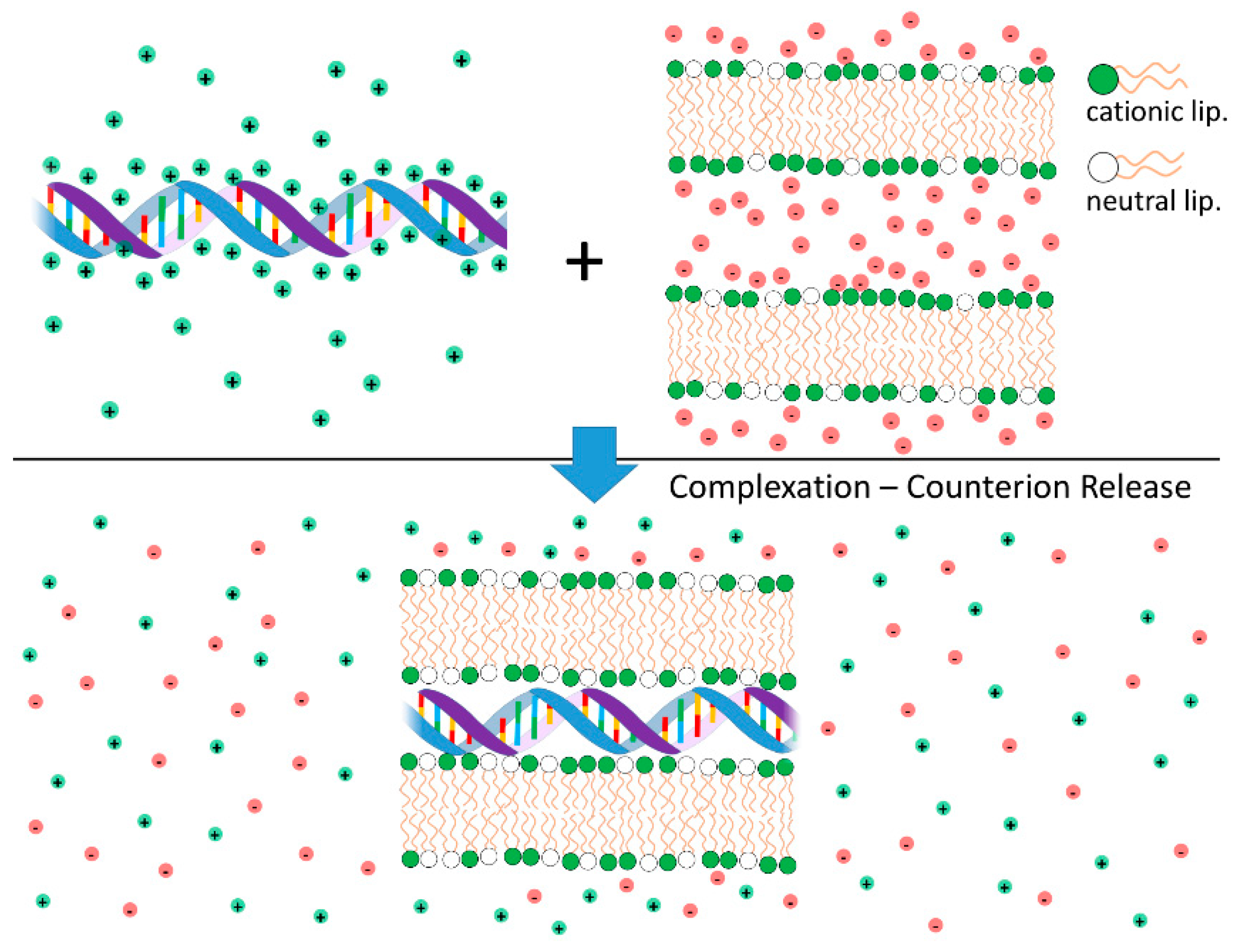 Molecules 25 05006 g004