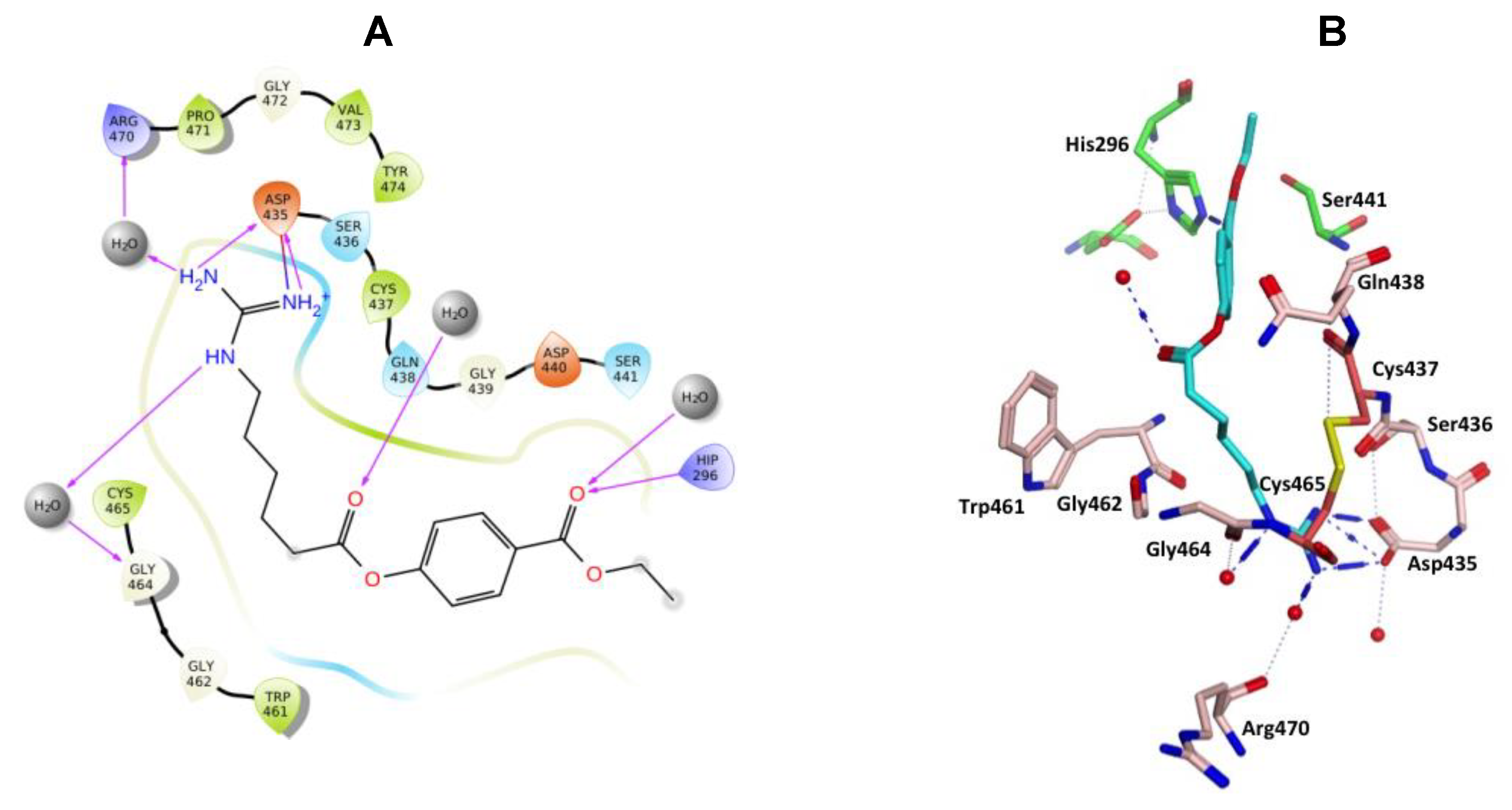 Molecules 25 05007 g011 Molecules 25 05007 g011