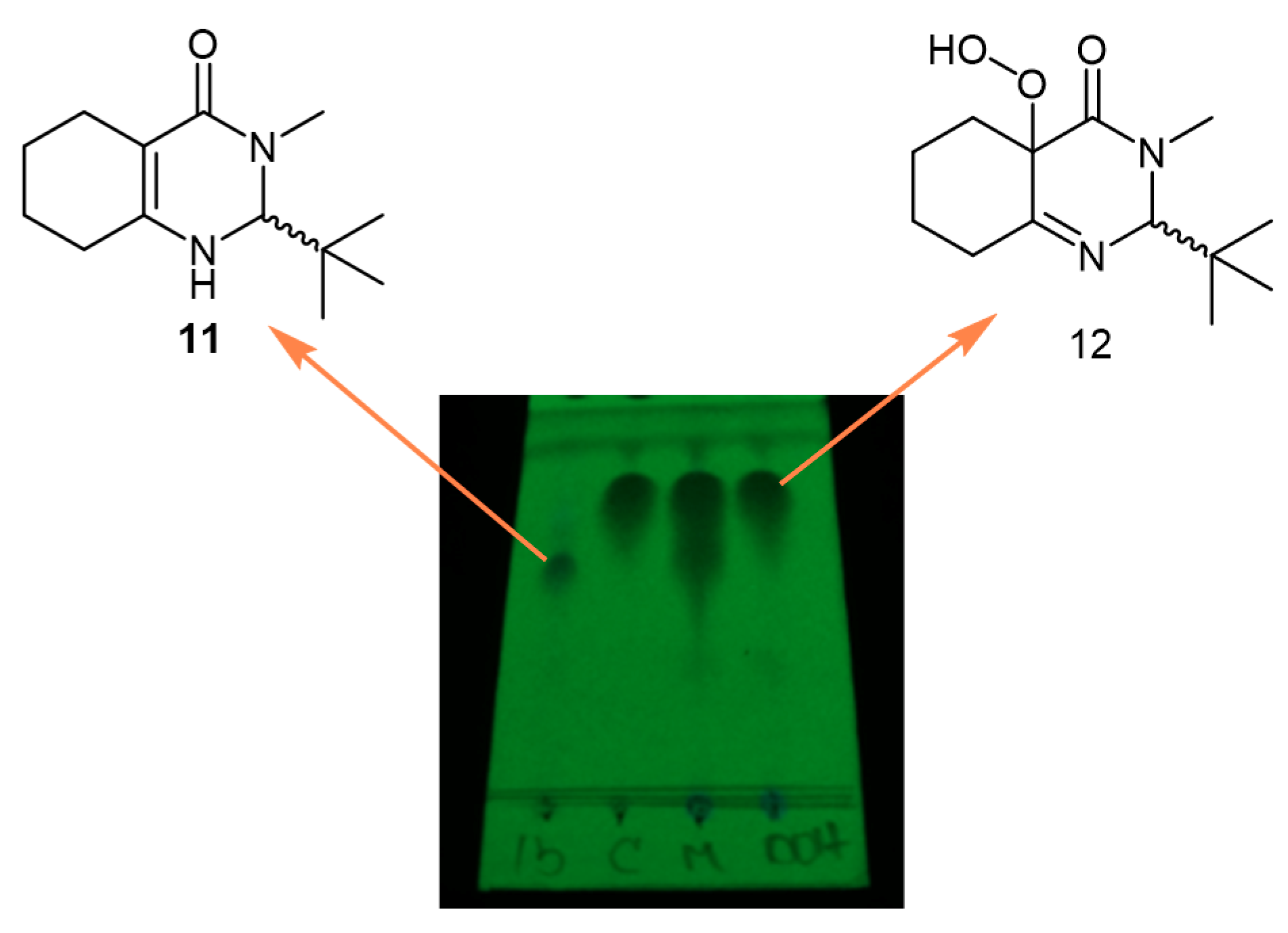 Molecules 25 05008 g004