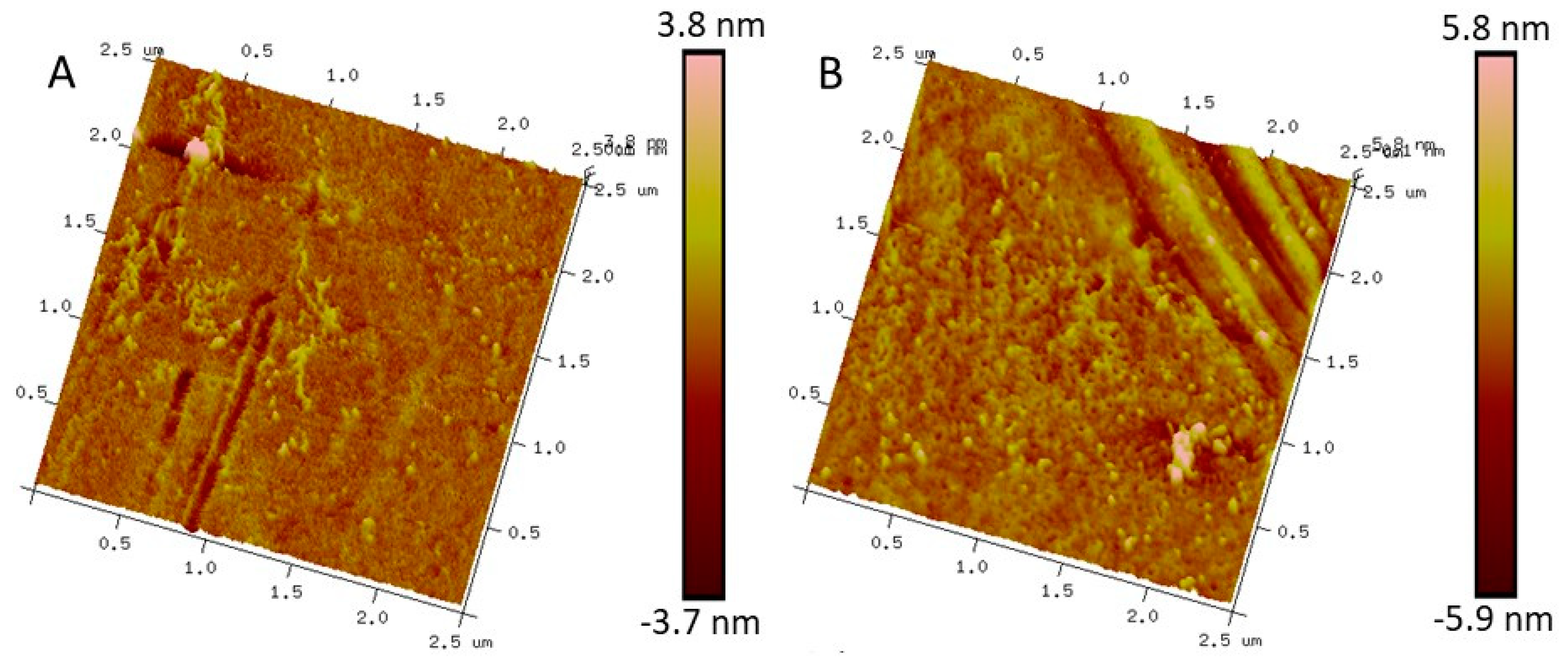 Molecules 25 05009 g001