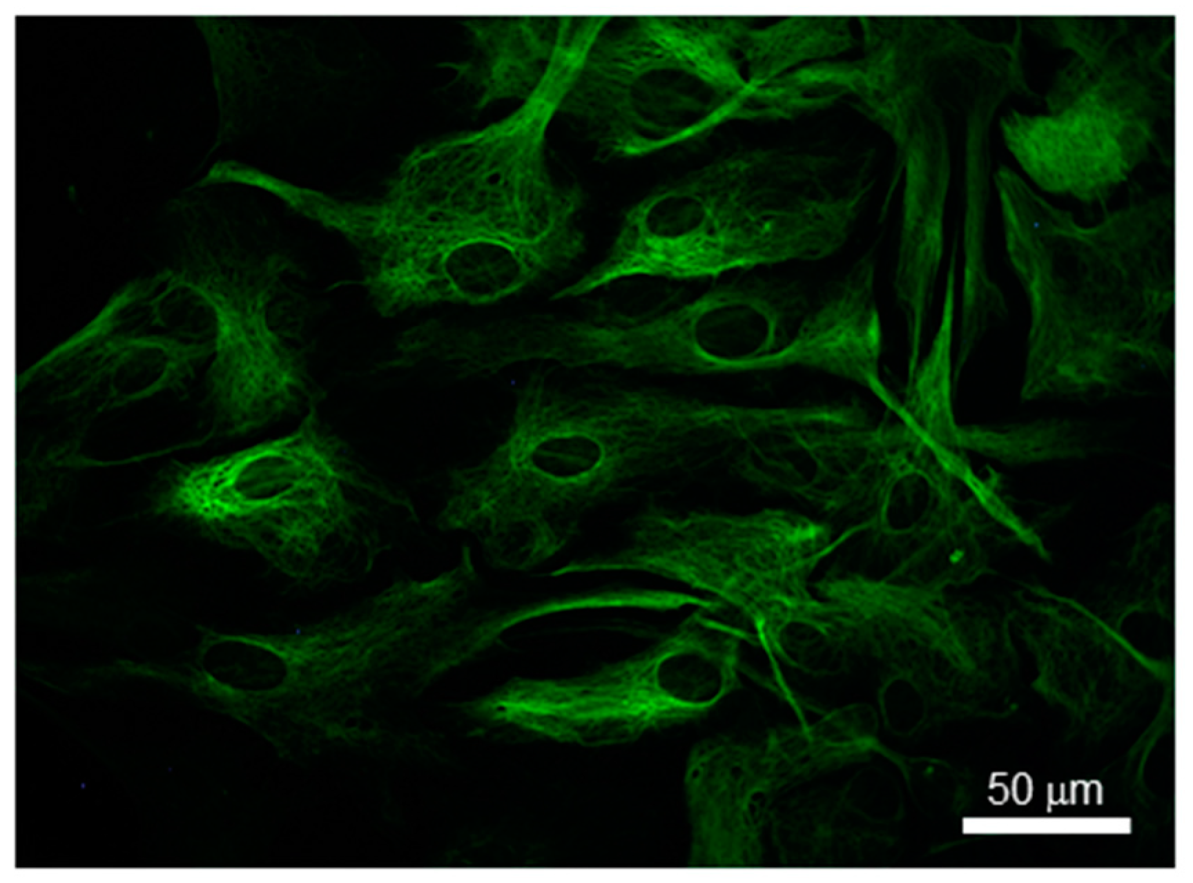 Molecules 25 05009 g002