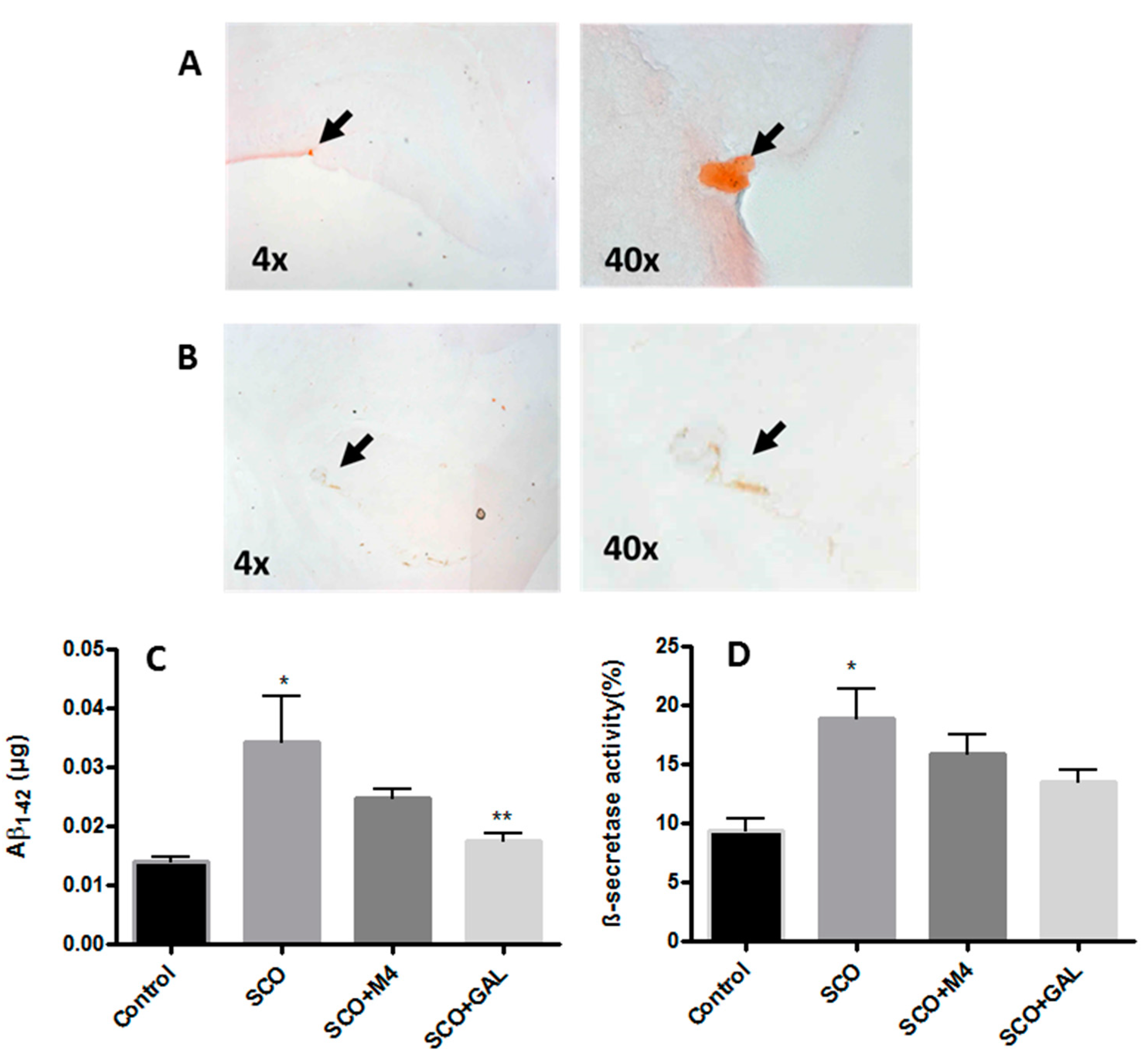 Molecules 25 05009 g005