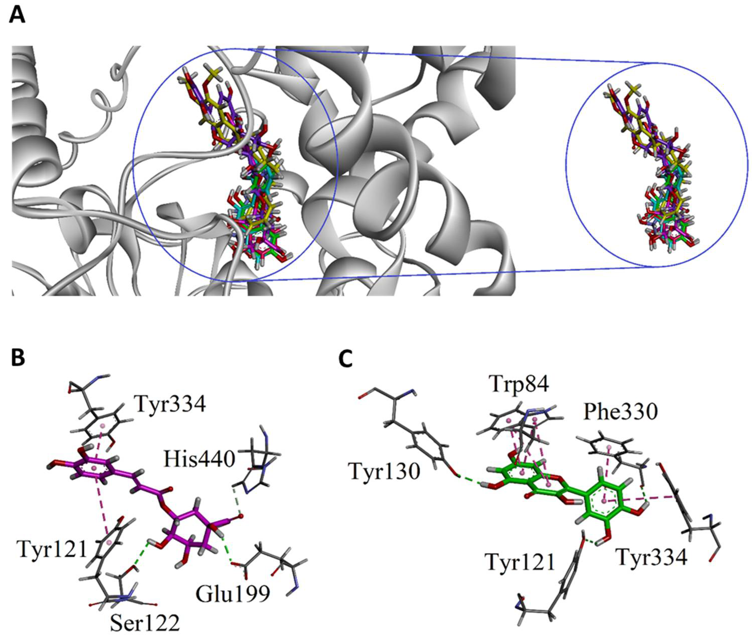 Molecules 25 05011 g005 Molecules 25 05011 g005