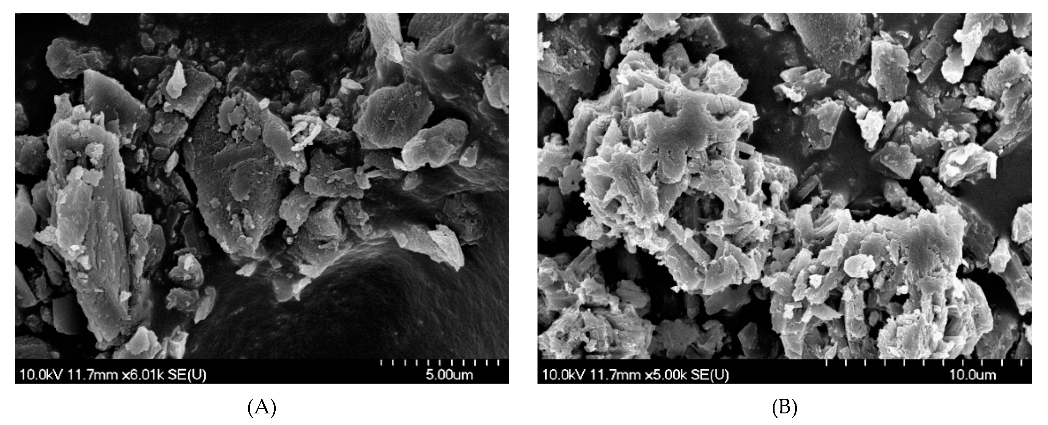 Molecules 25 05012 g008 Molecules 25 05012 g008