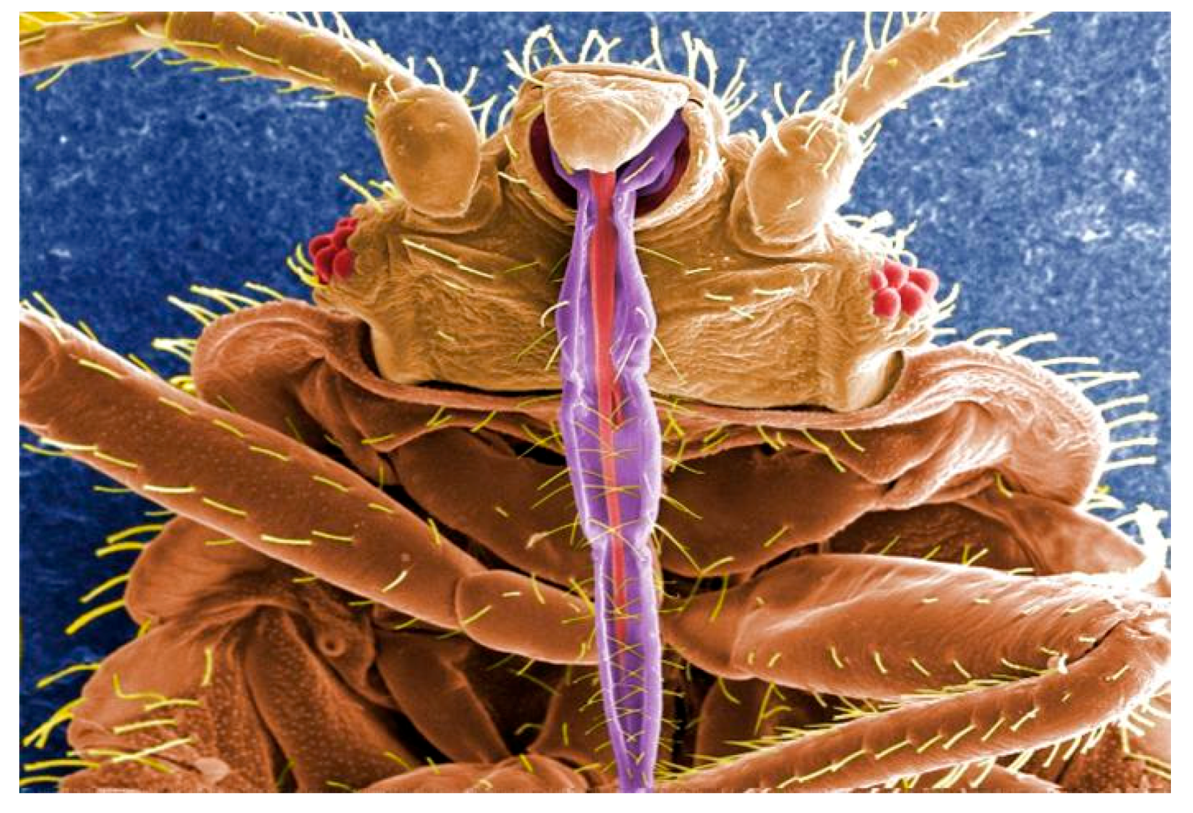 Molecules 25 05014 i006