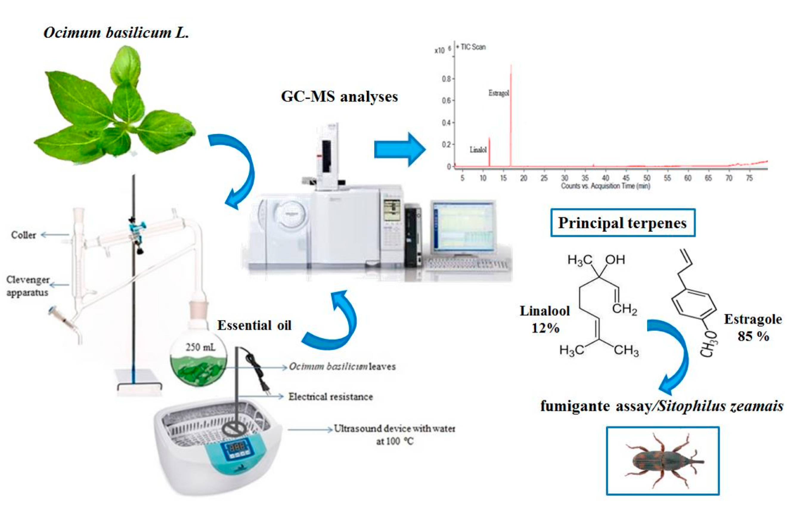Molecules 25 05014 i007