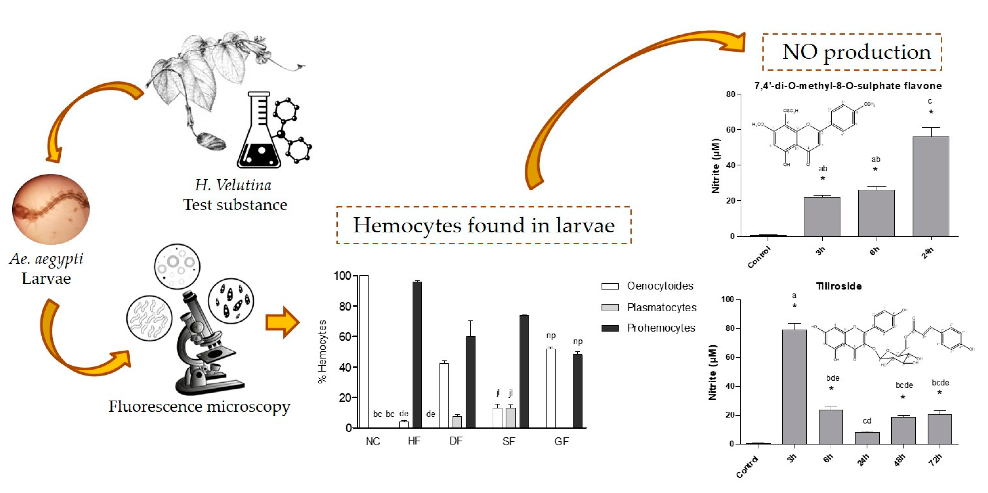 Molecules 25 05014 i009