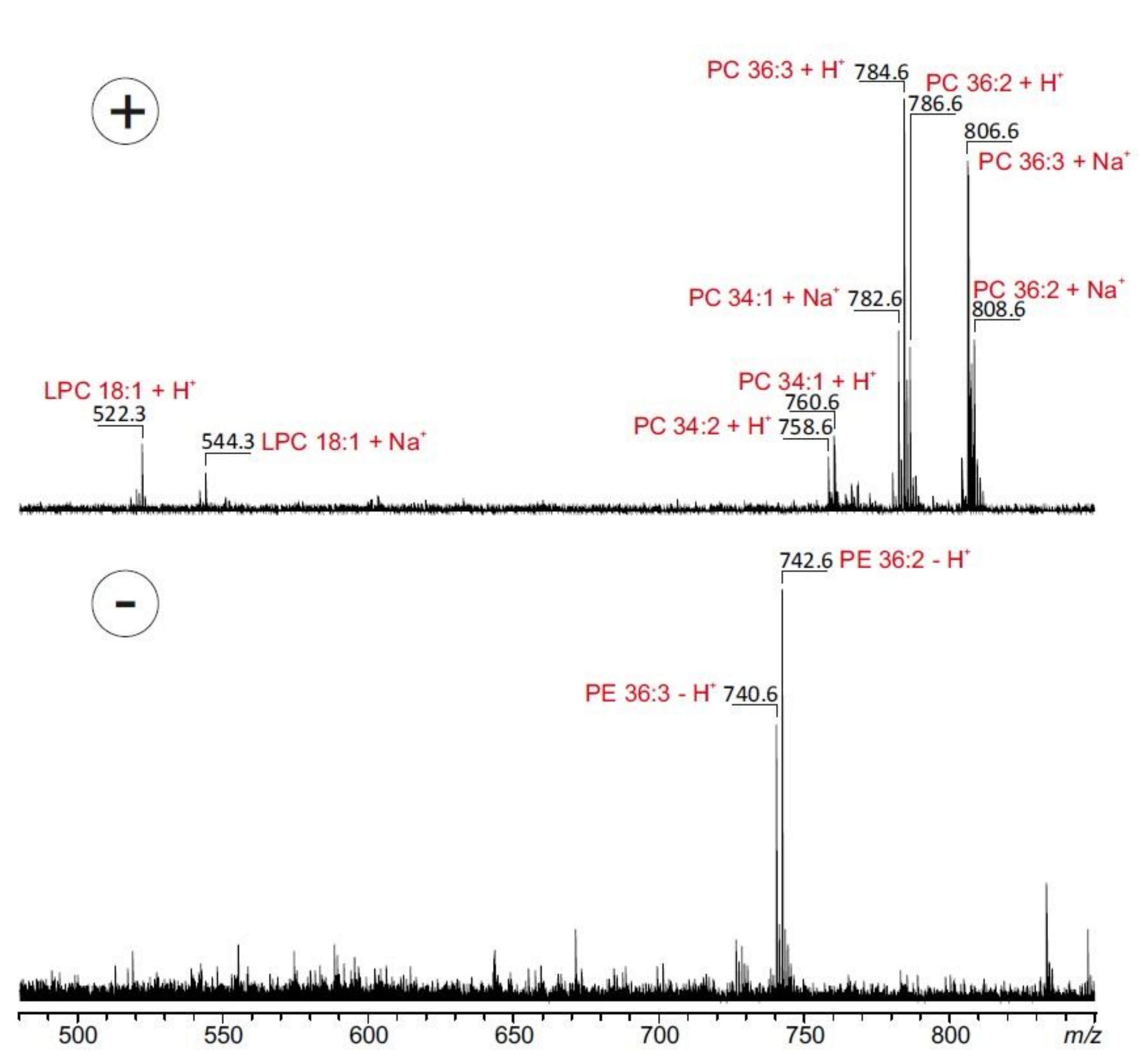 Molecules 25 05015 g002
