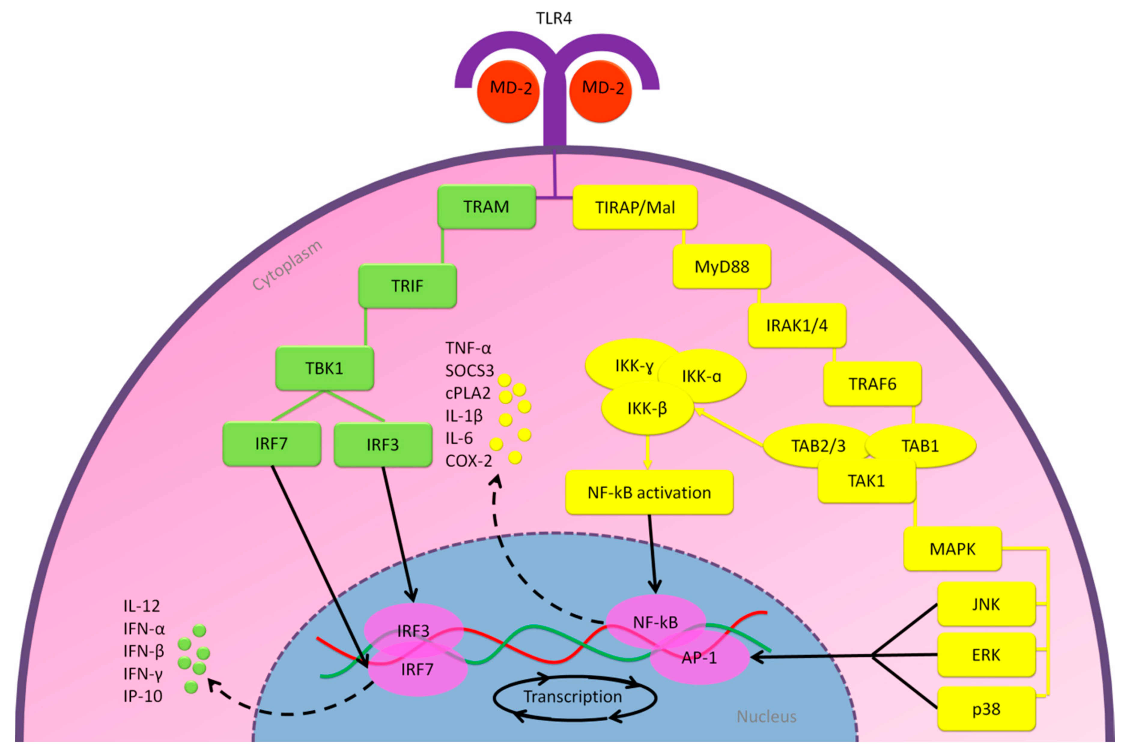 Molecules 25 05017 g005