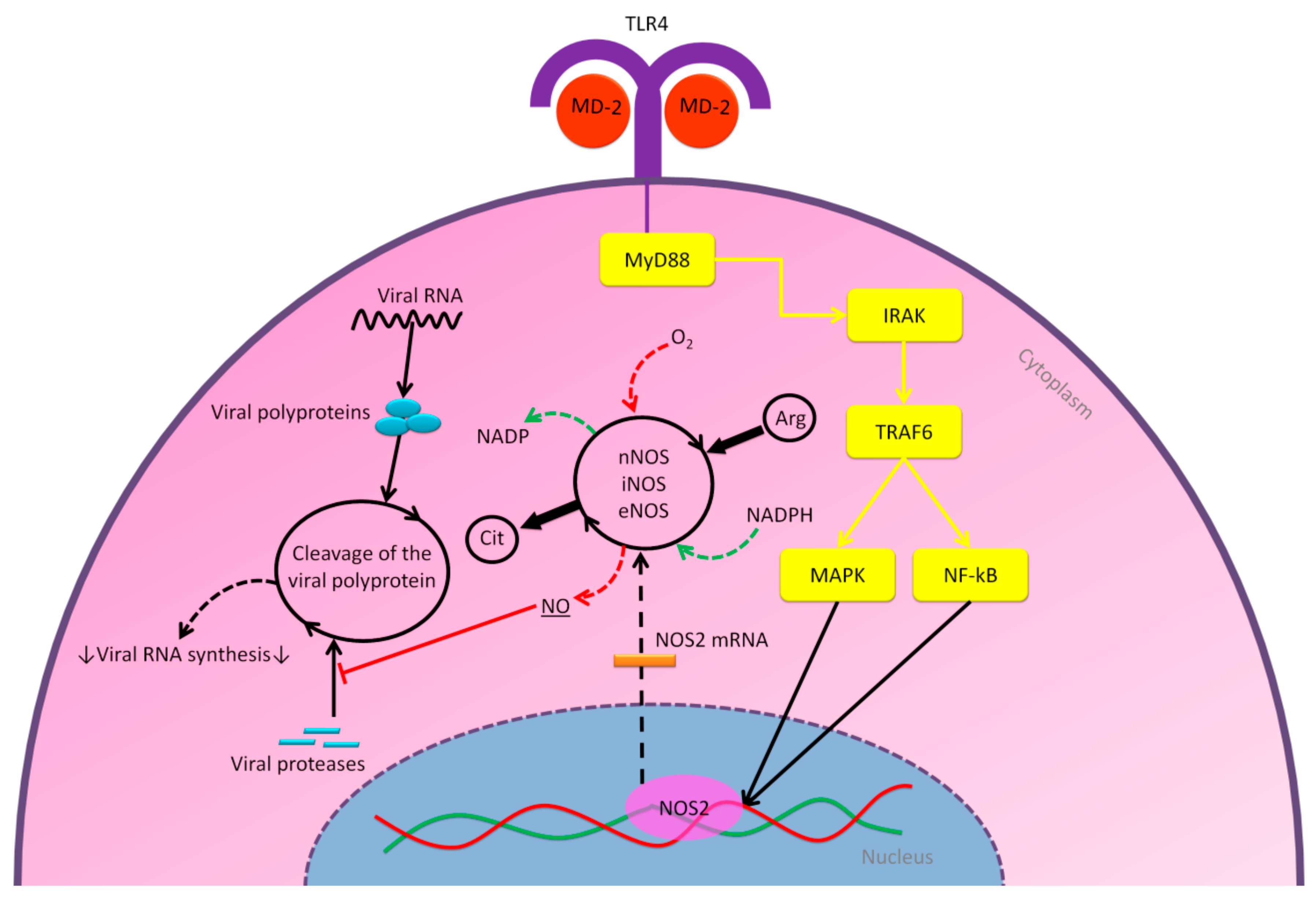 Molecules 25 05017 g006