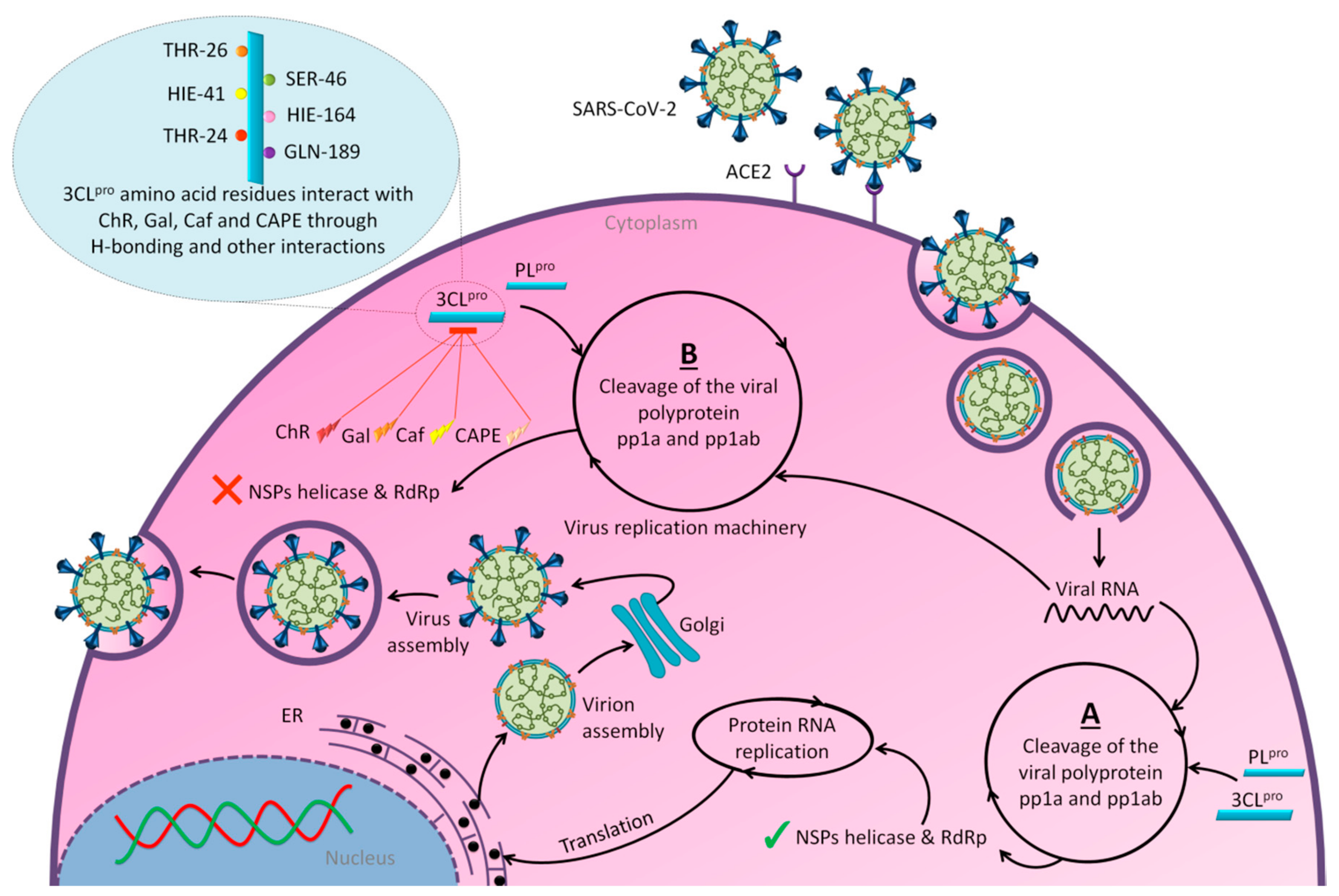 Molecules 25 05017 g007