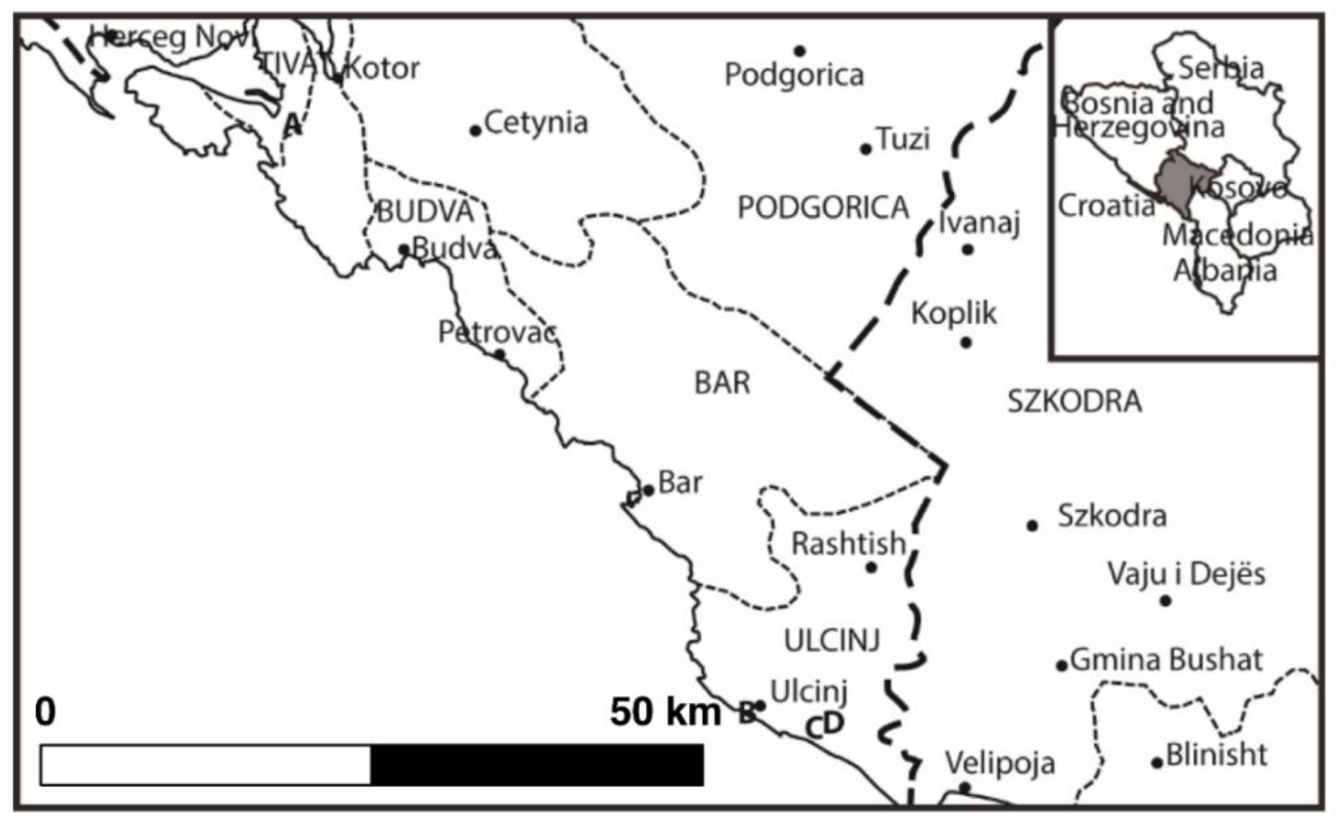 Molecules 25 05022 g001
