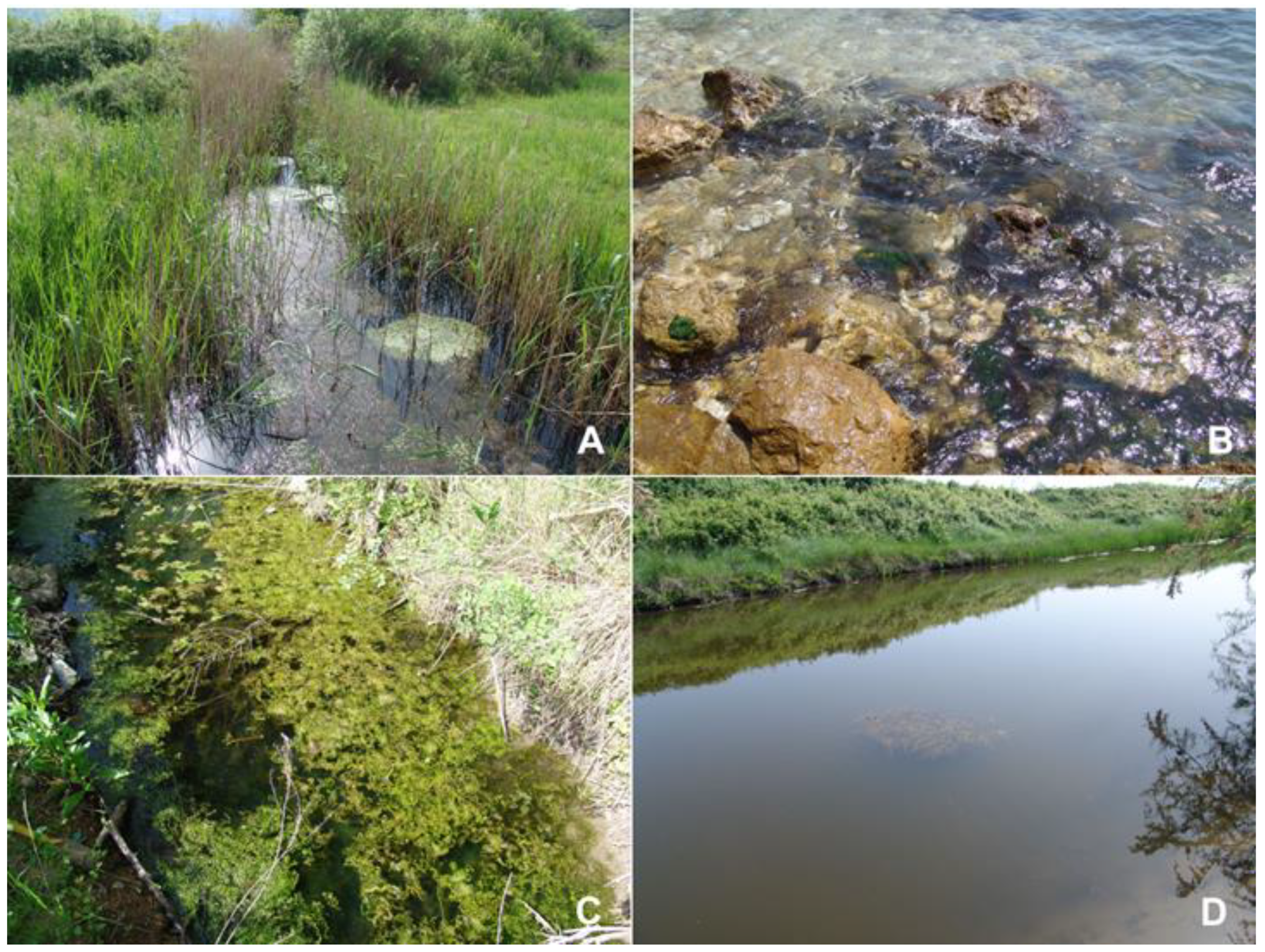 Molecules 25 05022 g002