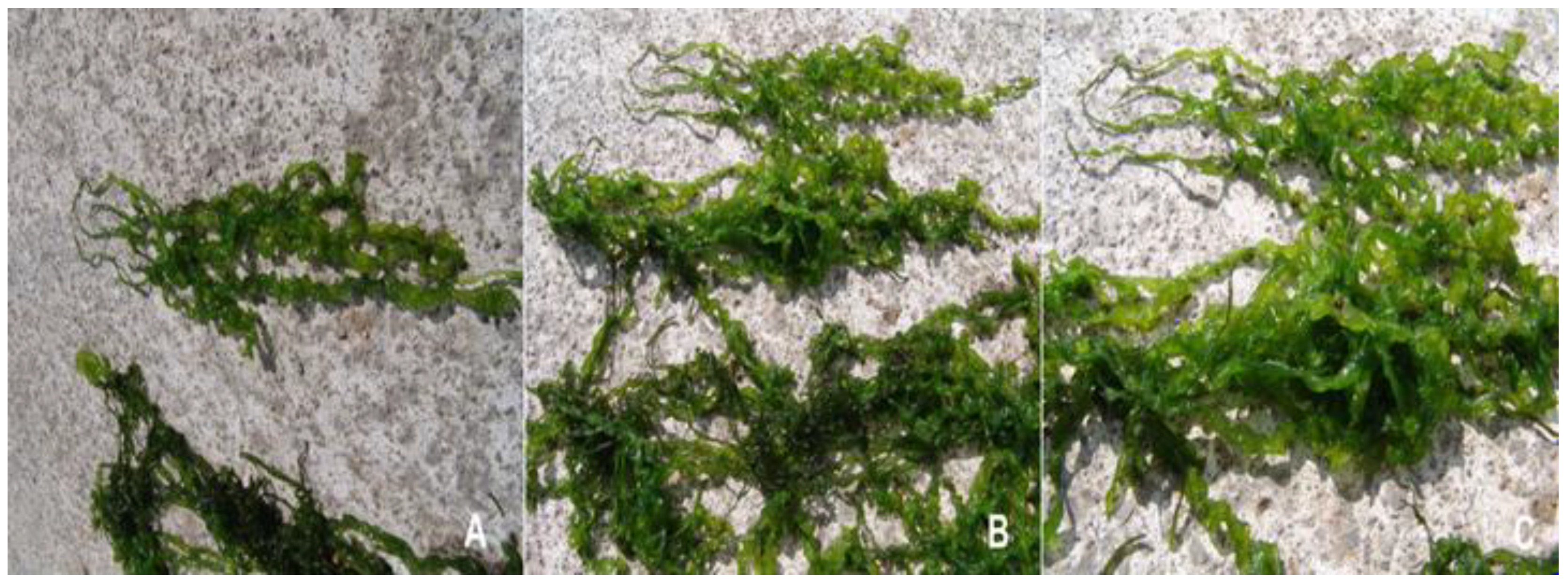 Molecules 25 05022 g003