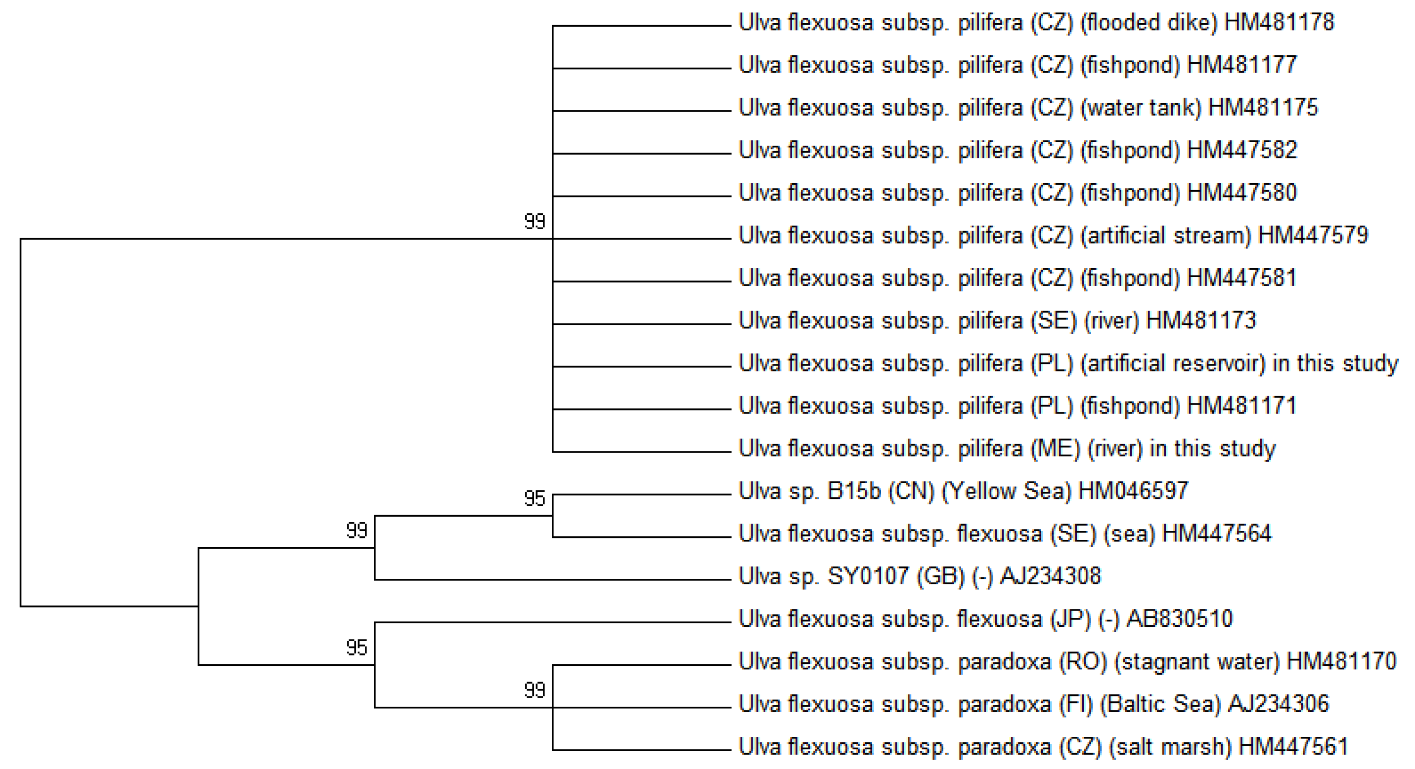 Molecules 25 05022 g005