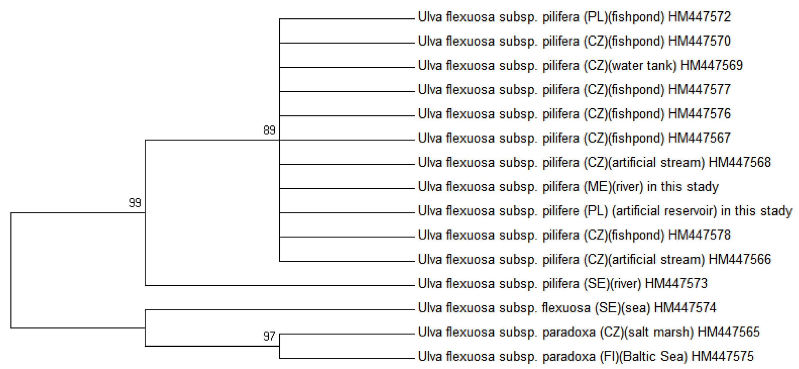 Molecules 25 05022 g006