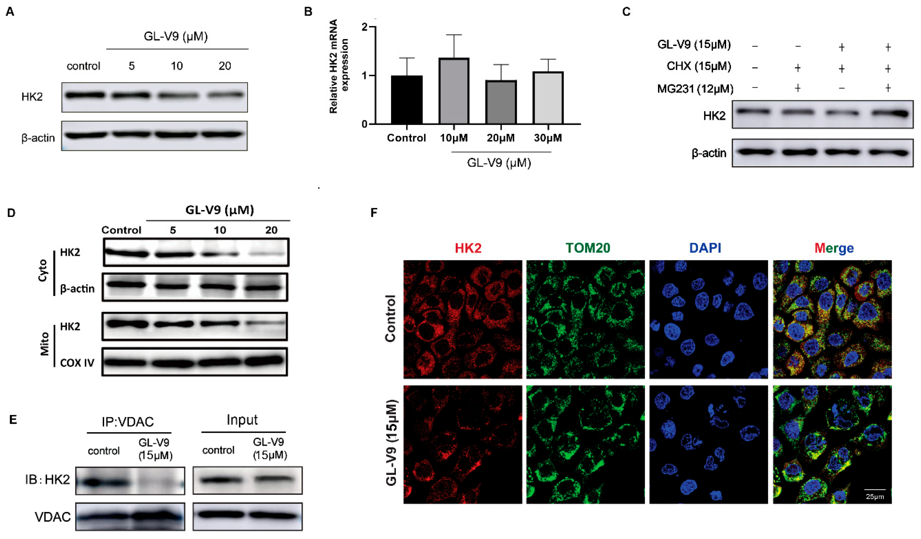 Molecules 25 05033 g005 Molecules 25 05033 g005