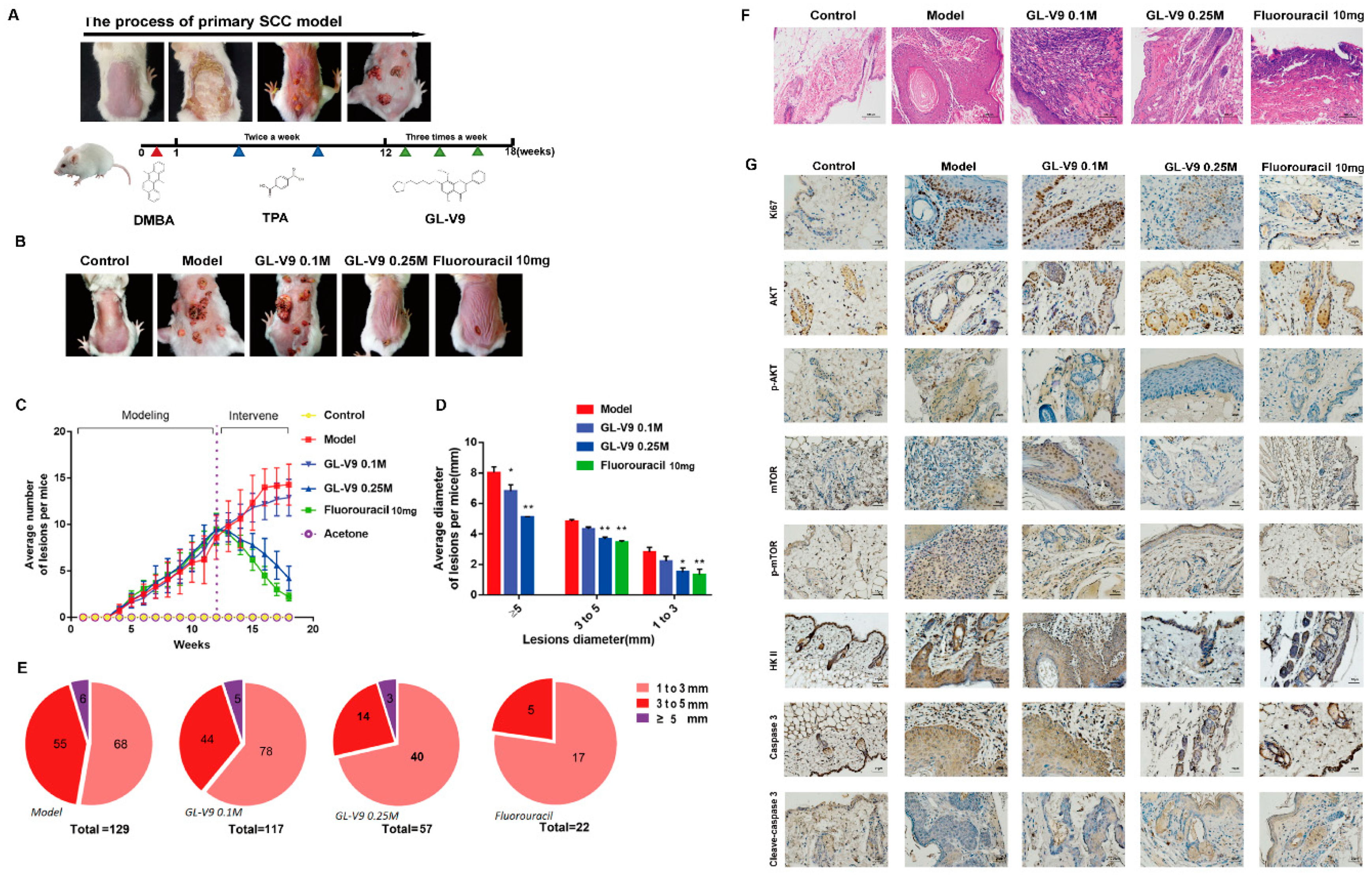 Molecules 25 05033 g007 Molecules 25 05033 g007