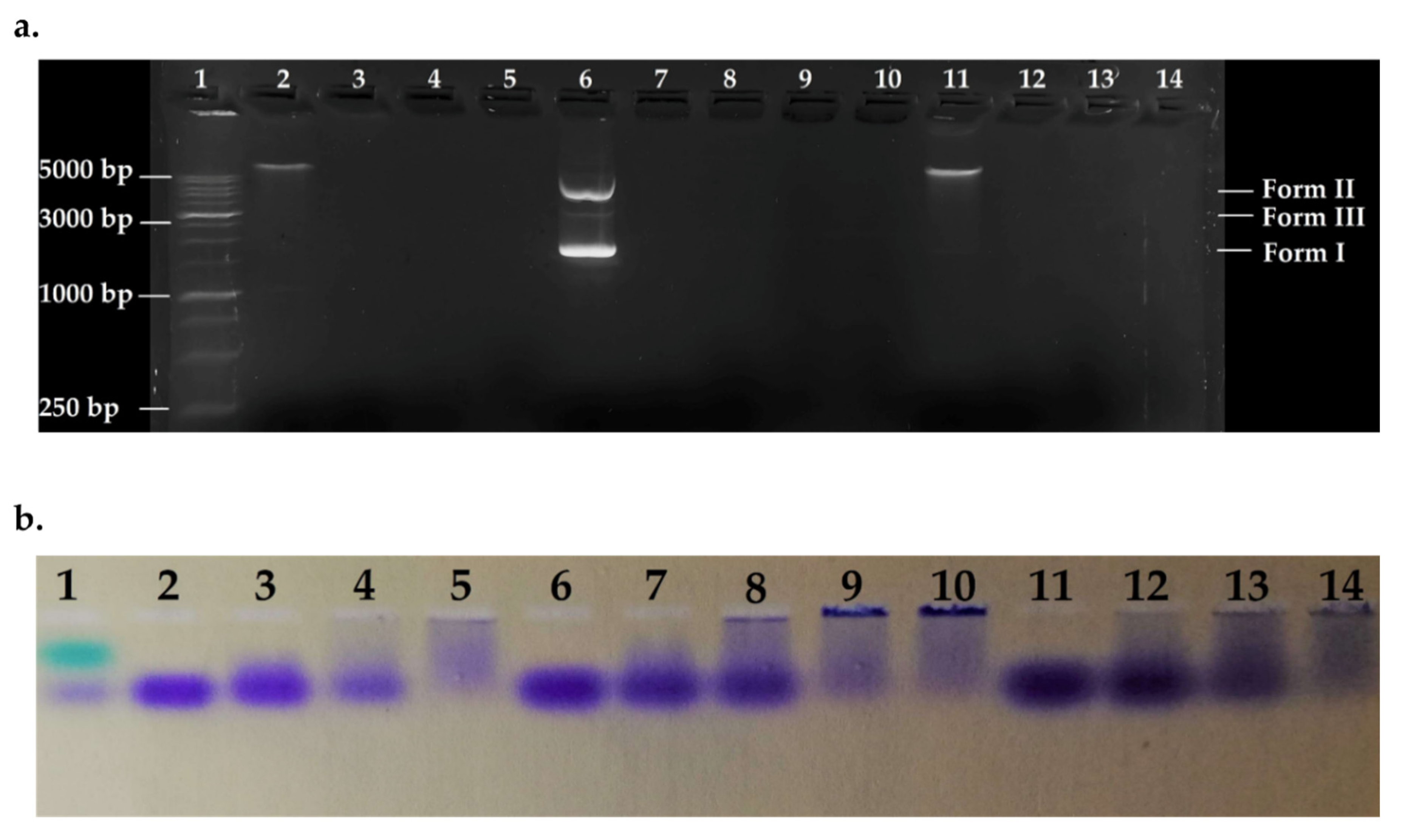 Molecules 25 05035 g005