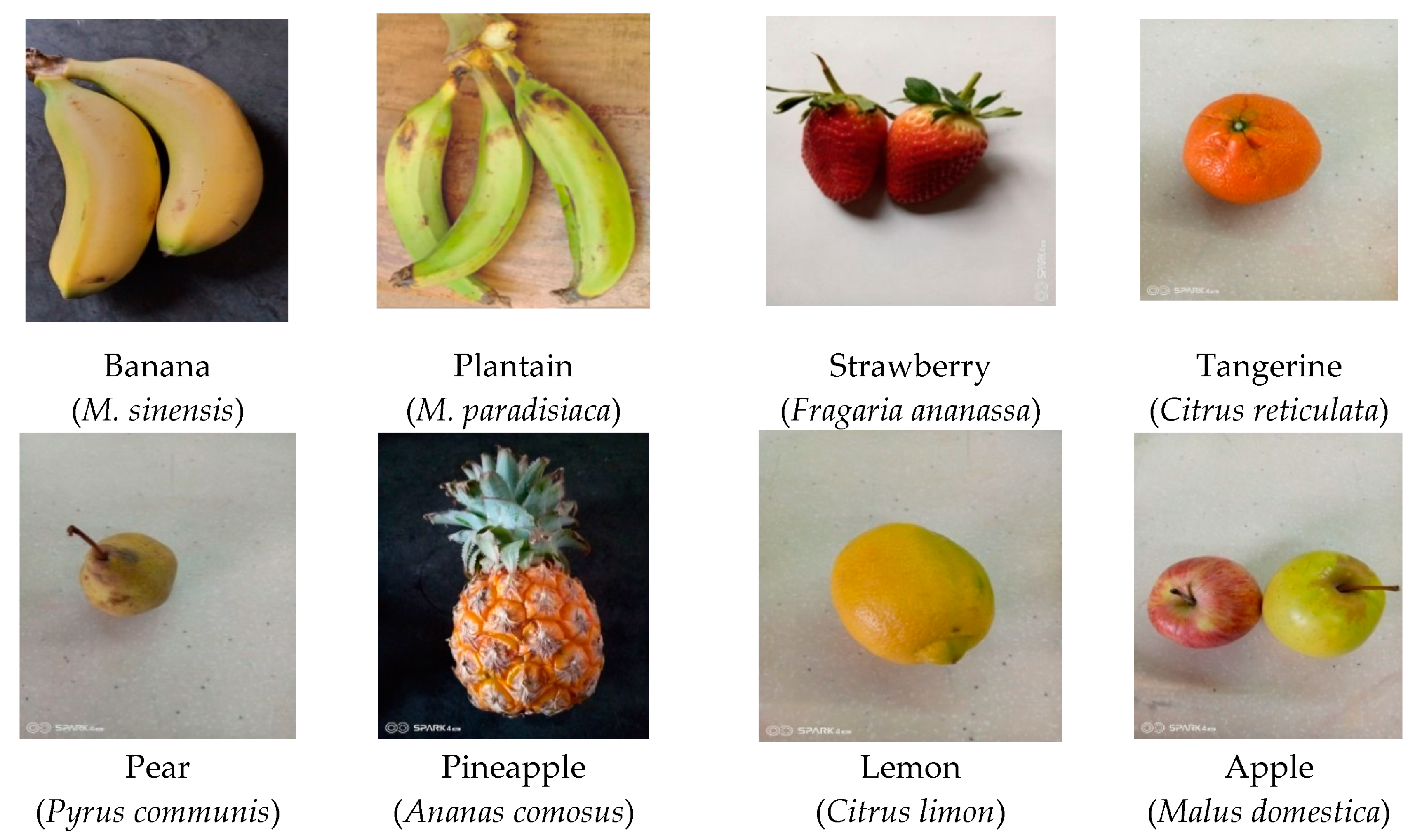 Molecules 25 05036 g001
