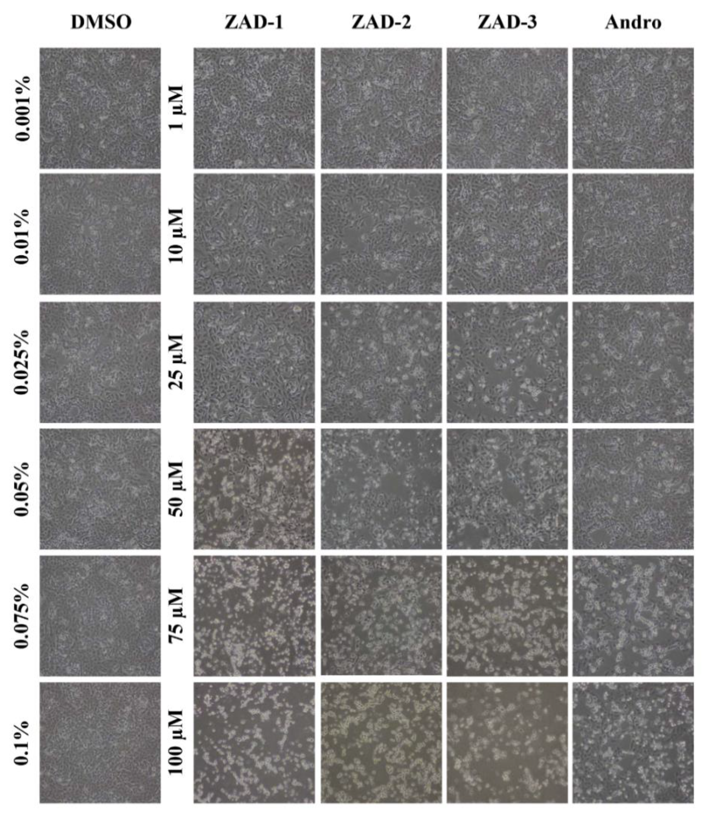 Molecules 25 05037 g002 Molecules 25 05037 g002