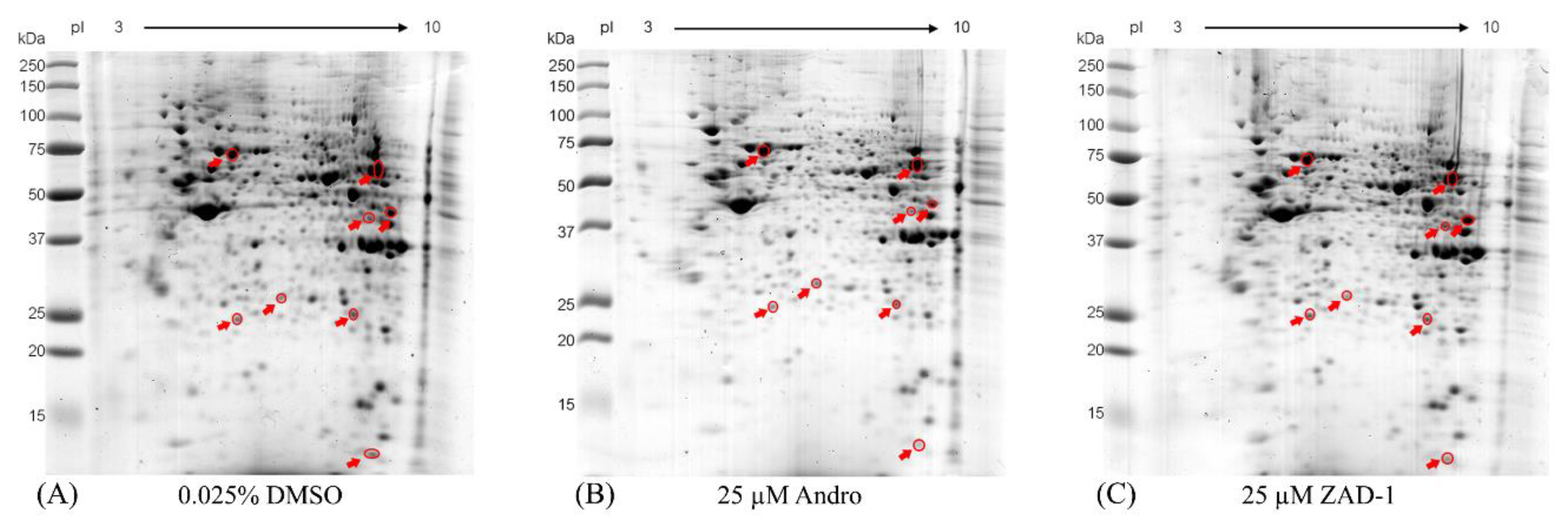 Molecules 25 05037 g005 Molecules 25 05037 g005