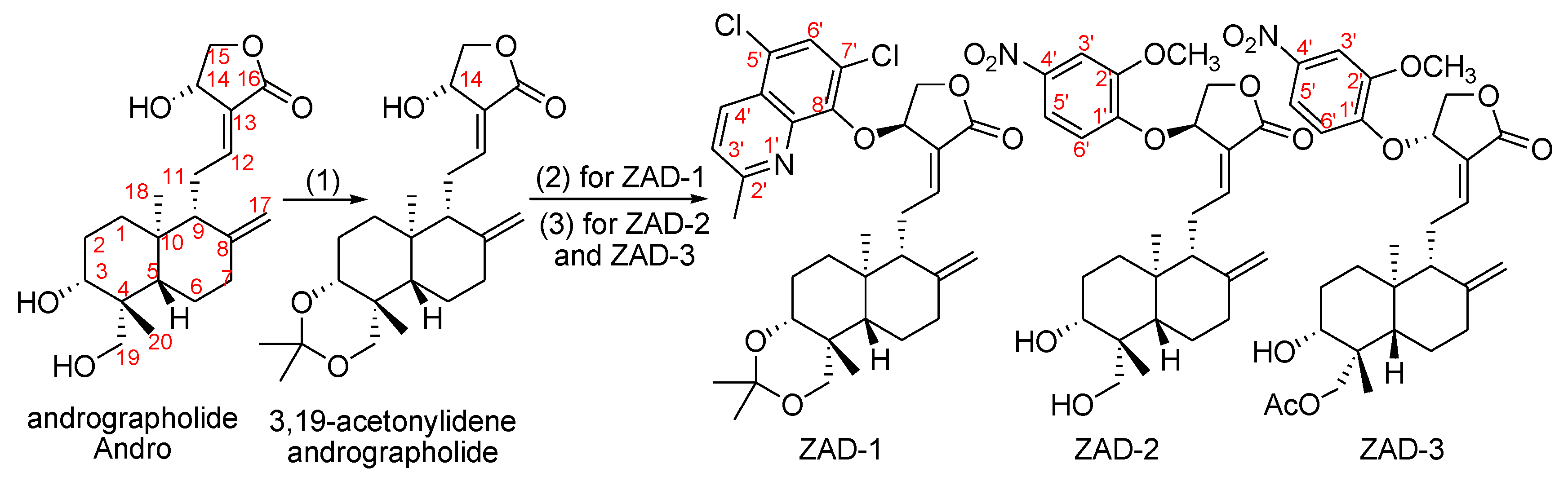 Molecules 25 05037 sch001 Molecules 25 05037 sch001