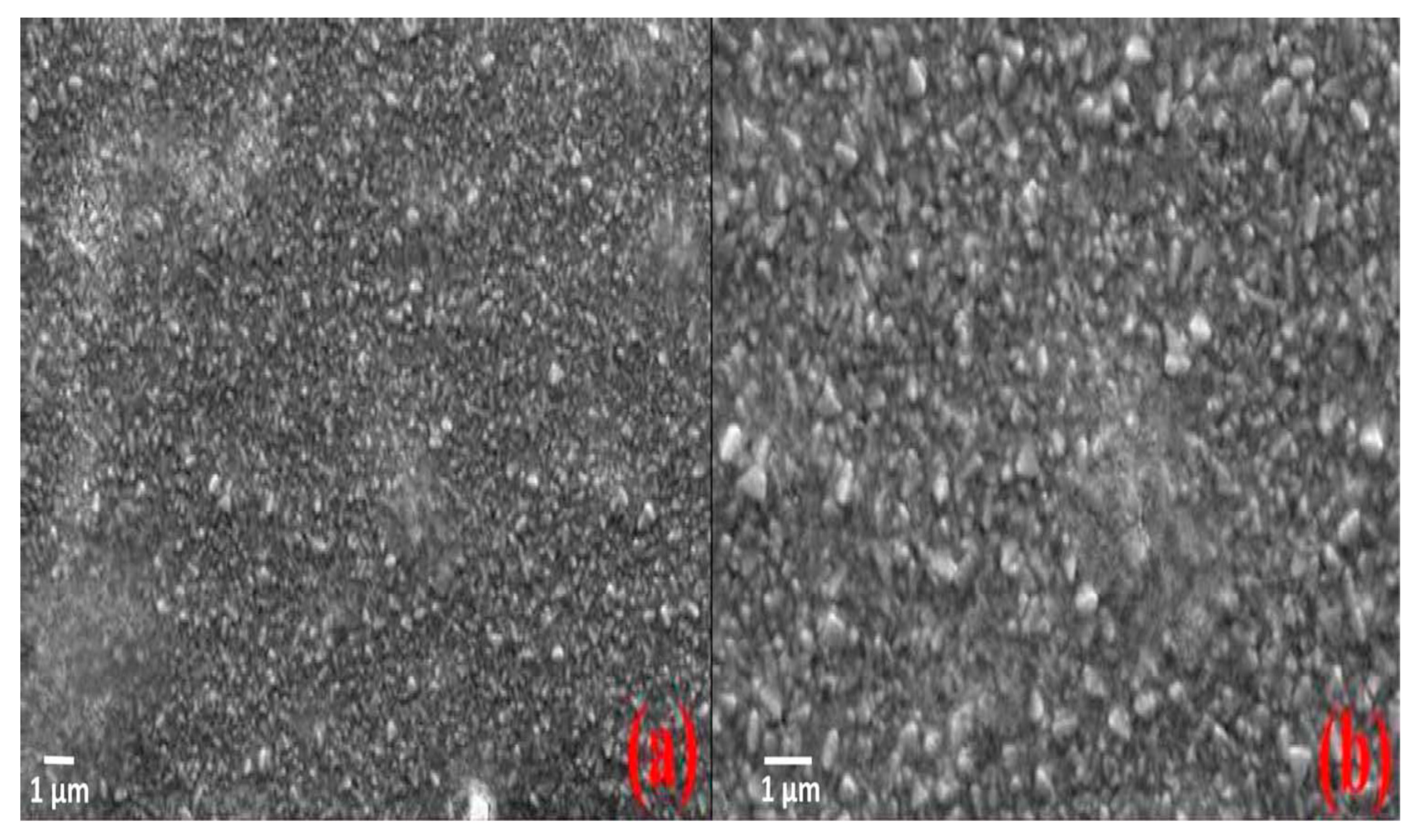 Molecules 25 05039 g007