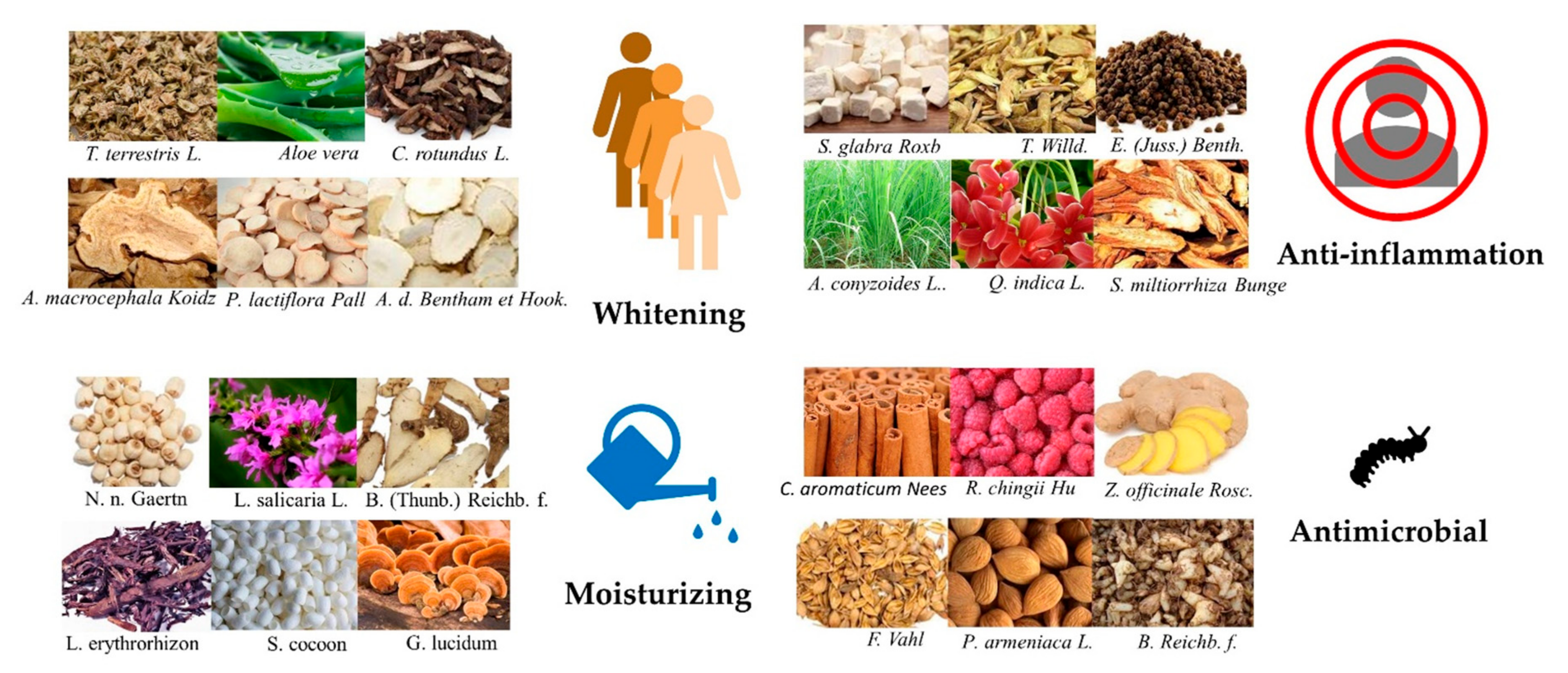 Molecules 25 05051 g003 Molecules 25 05051 g003