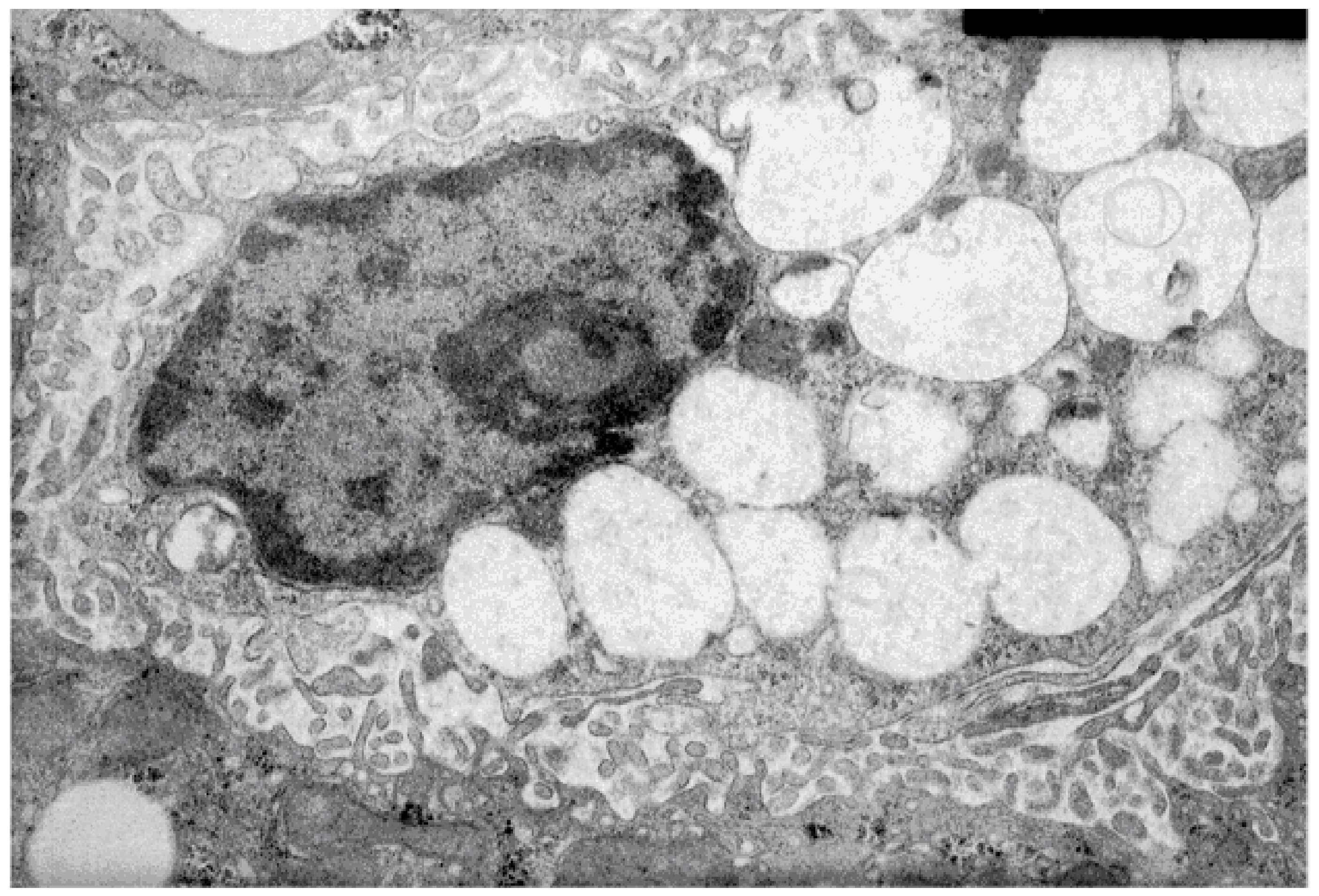 Molecules 25 05052 g002 Molecules 25 05052 g002