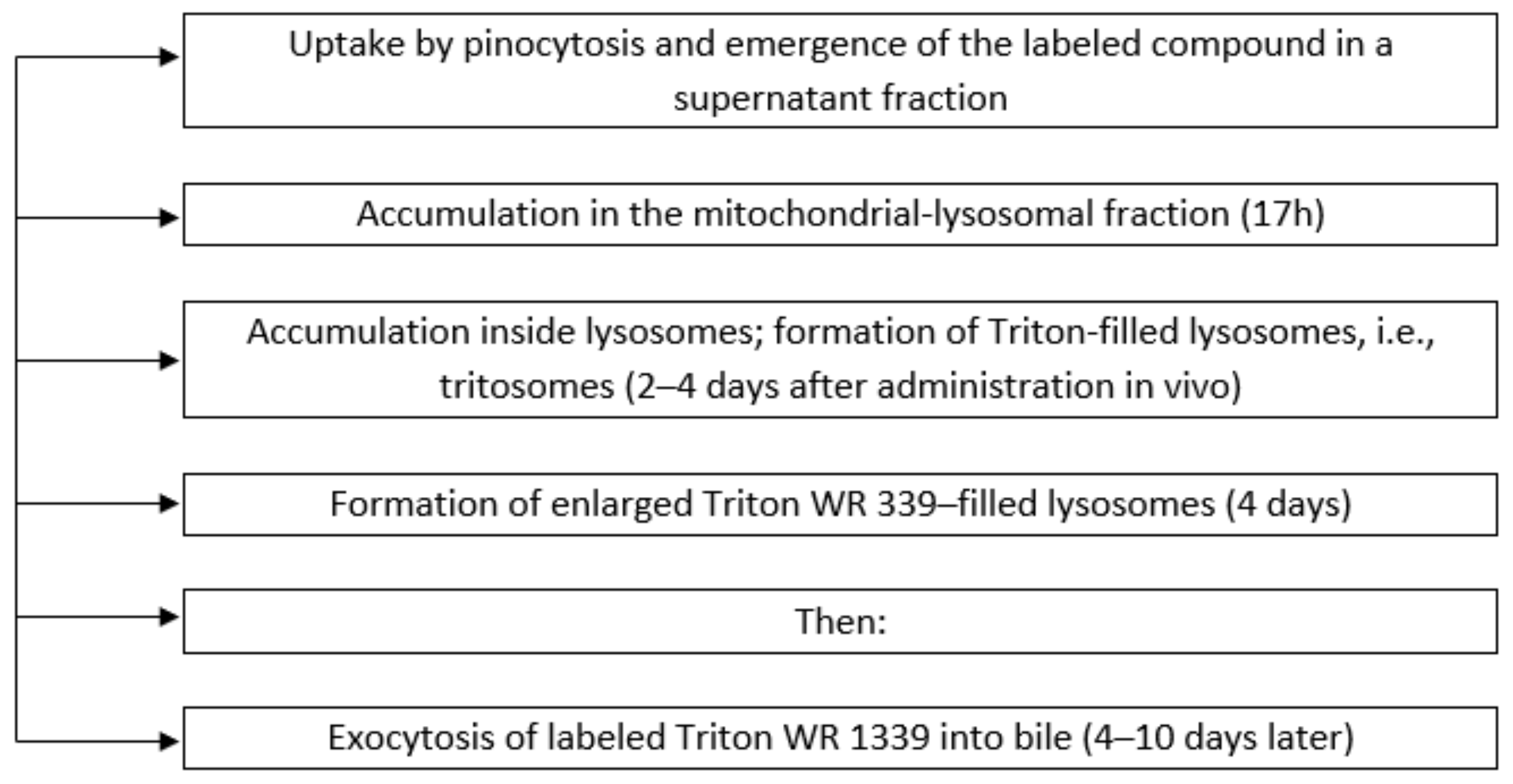 Molecules 25 05052 sch001 Molecules 25 05052 sch001