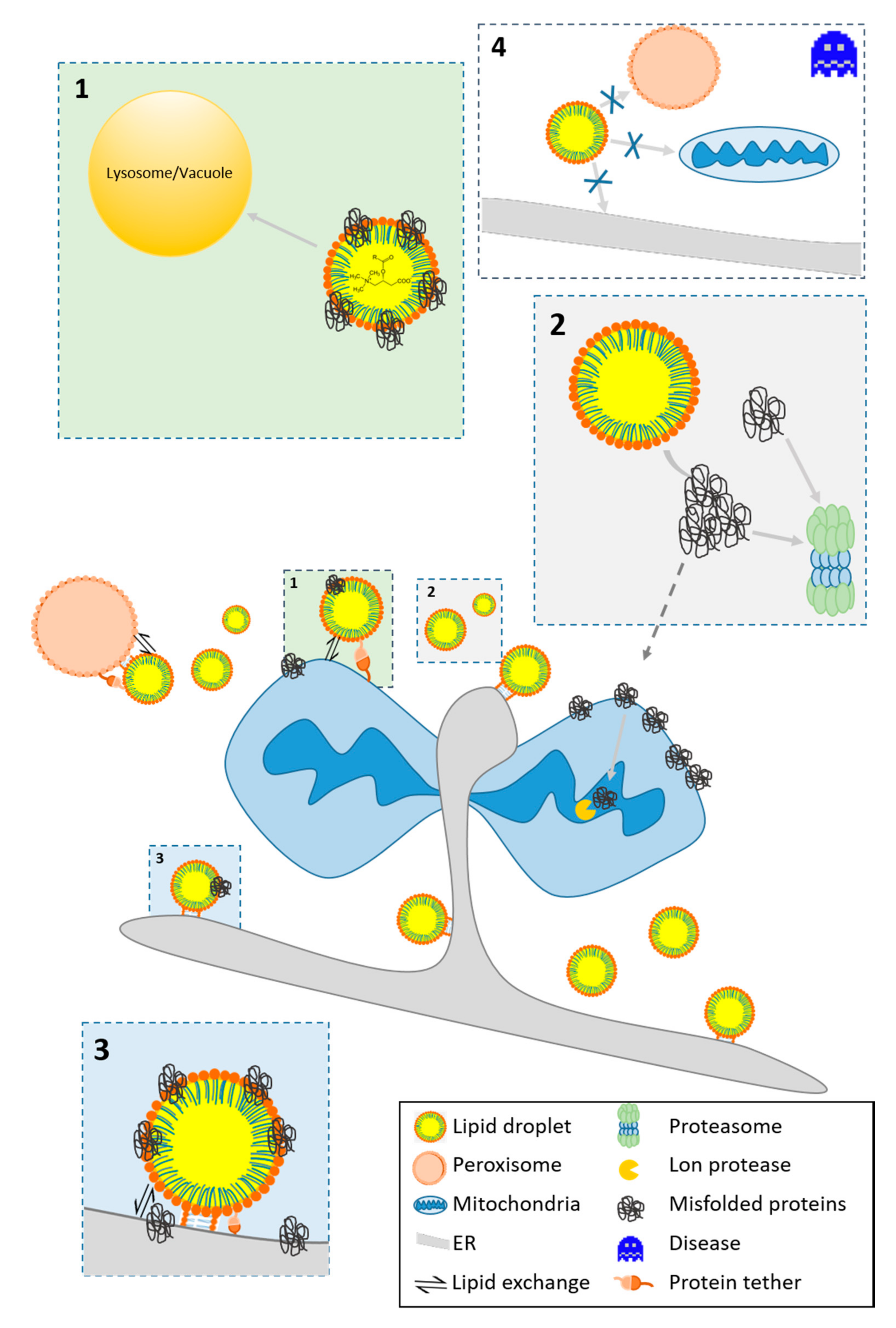Molecules 25 05053 g001 Molecules 25 05053 g001