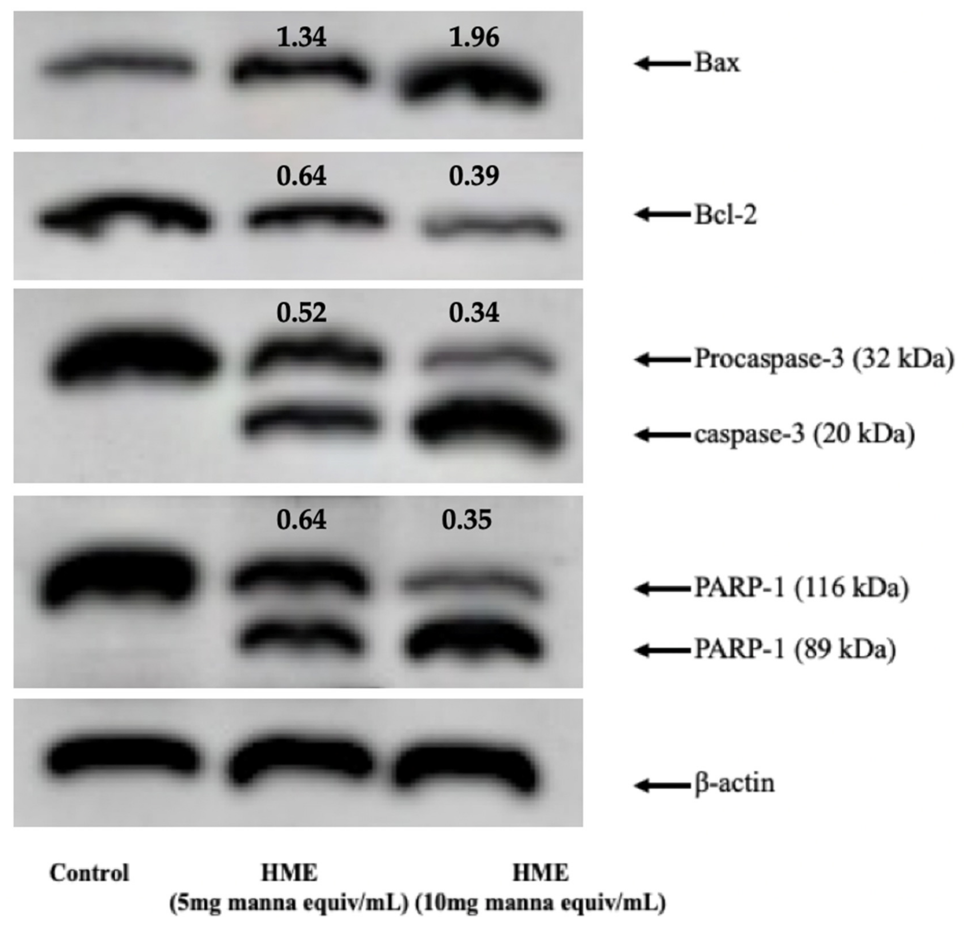 Molecules 25 05055 g005