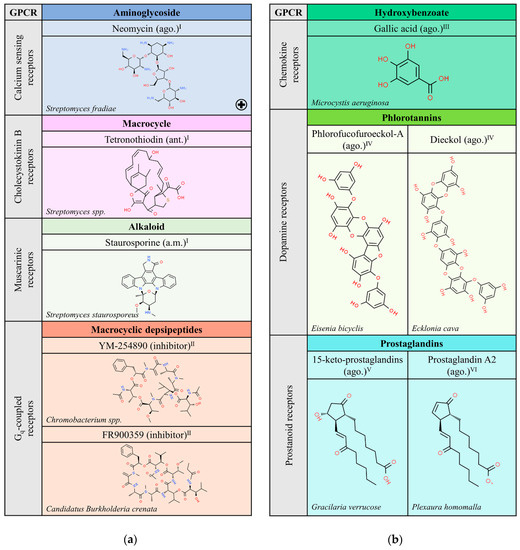 Molecules 25 05060 g001