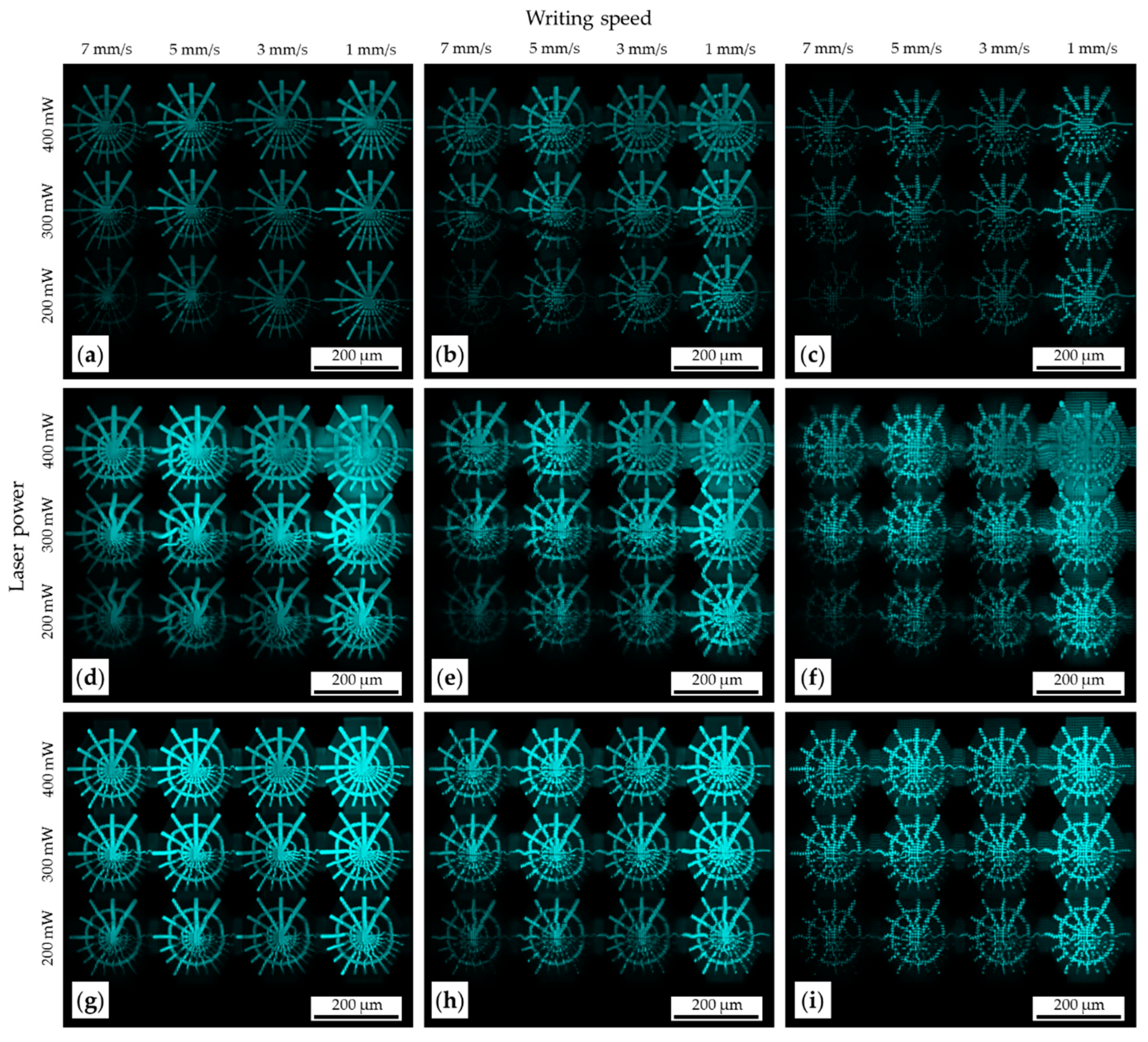 Molecules 25 05066 g0a3