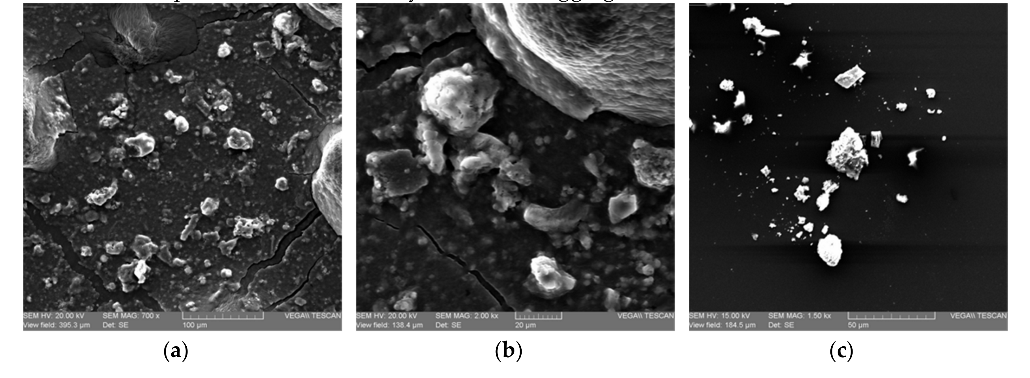 Molecules 25 05067 g005 Molecules 25 05067 g005