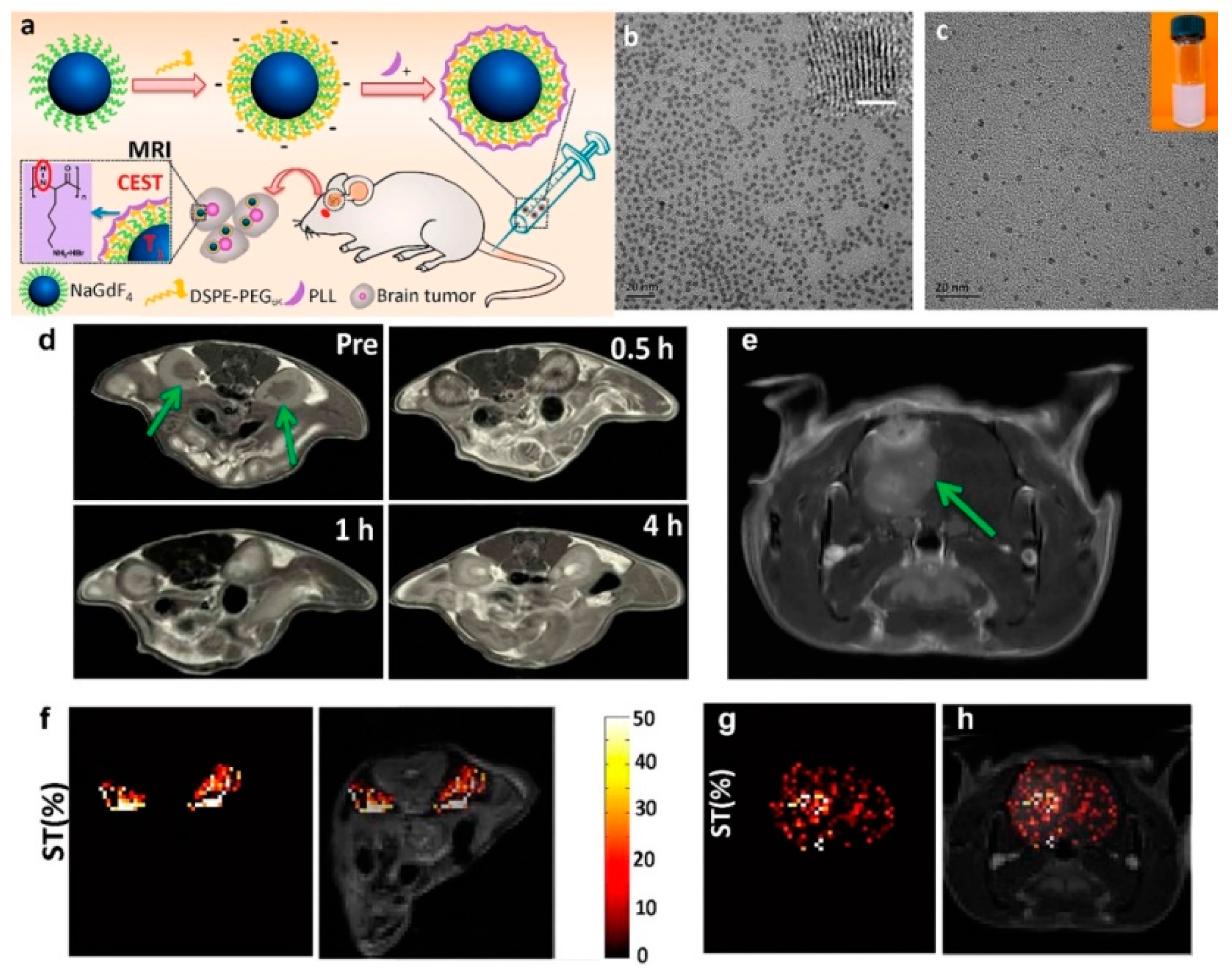 Molecules 25 05072 g008
