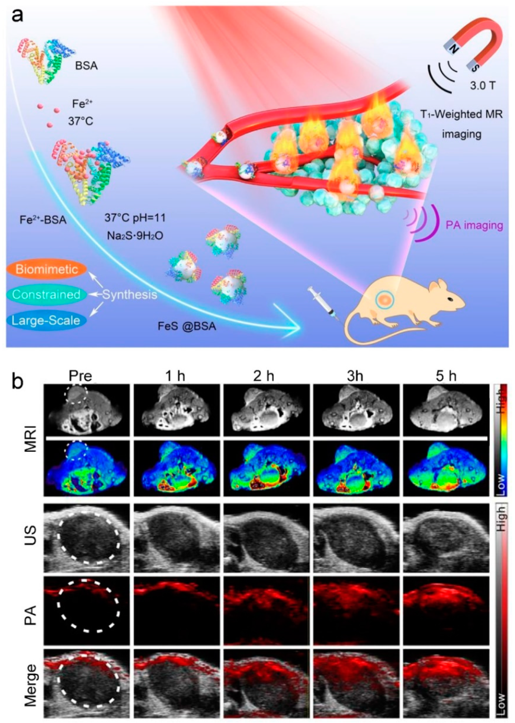 Molecules 25 05072 g010