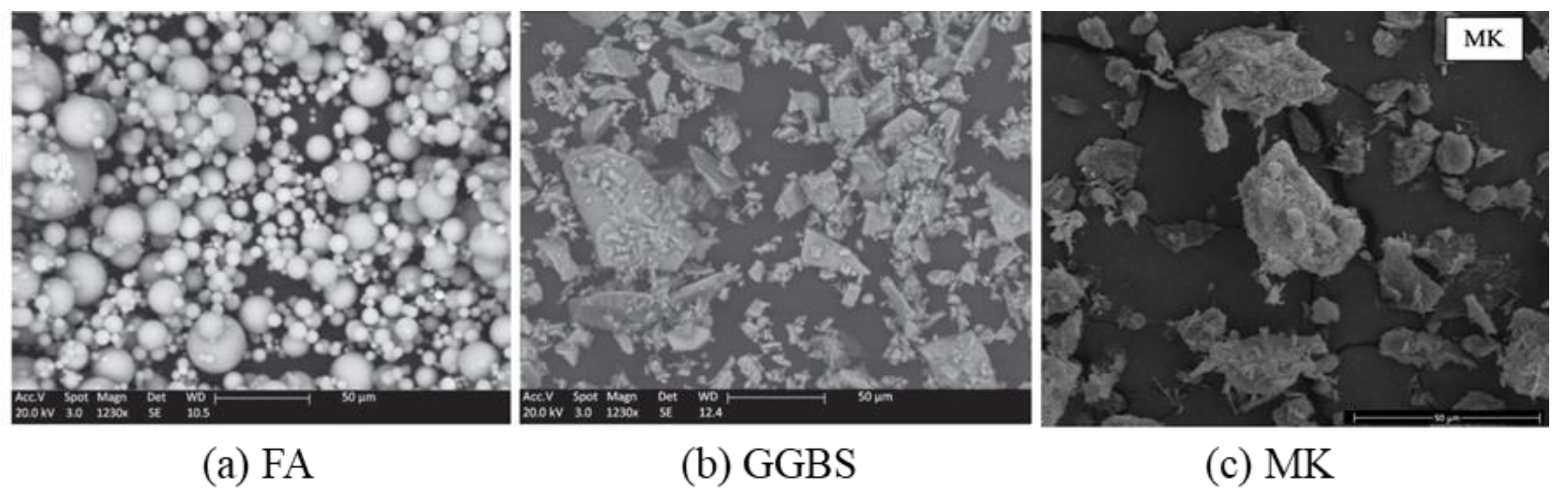 Molecules 25 05074 g002 Molecules 25 05074 g002
