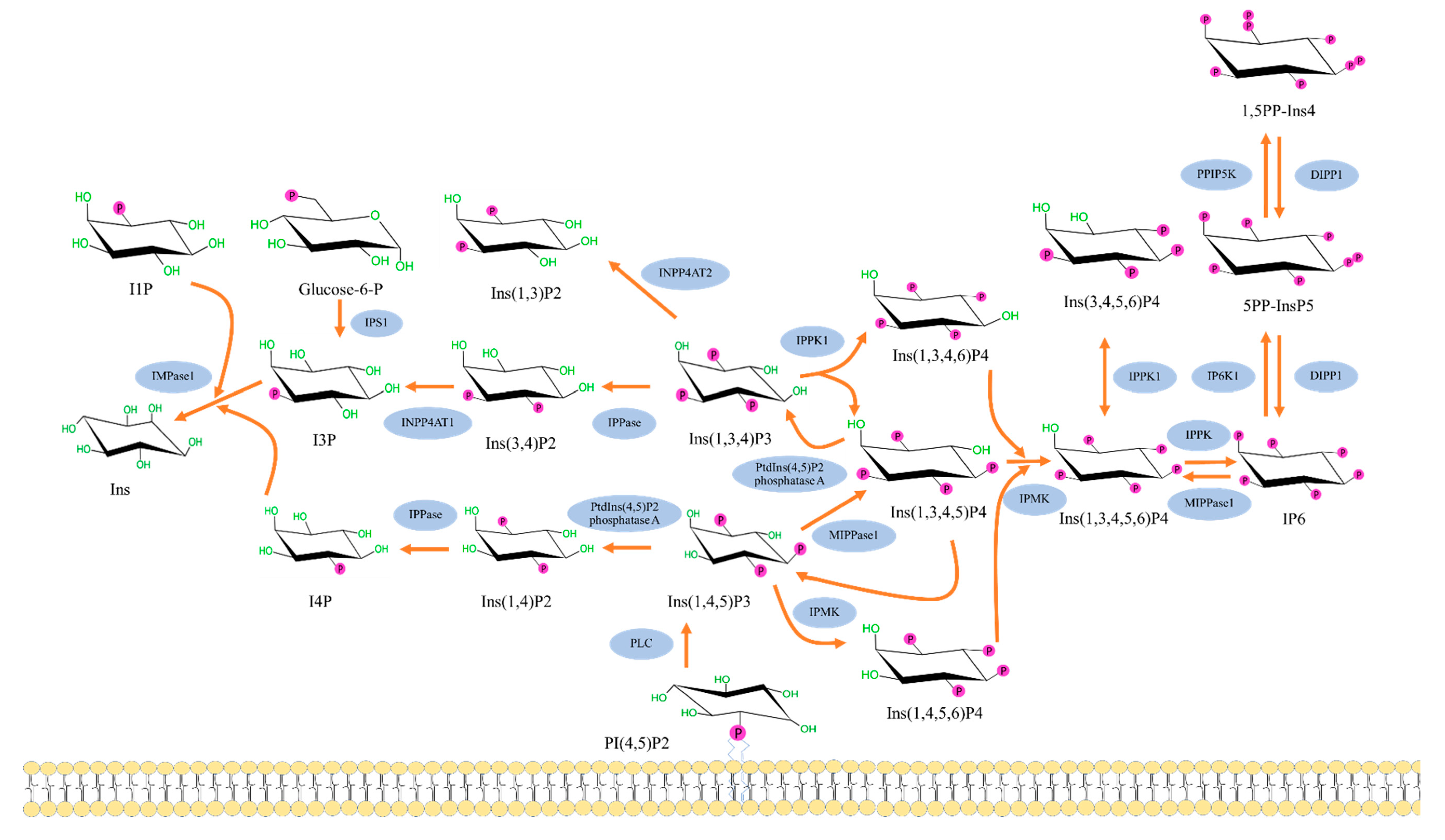 Molecules 25 05079 g002