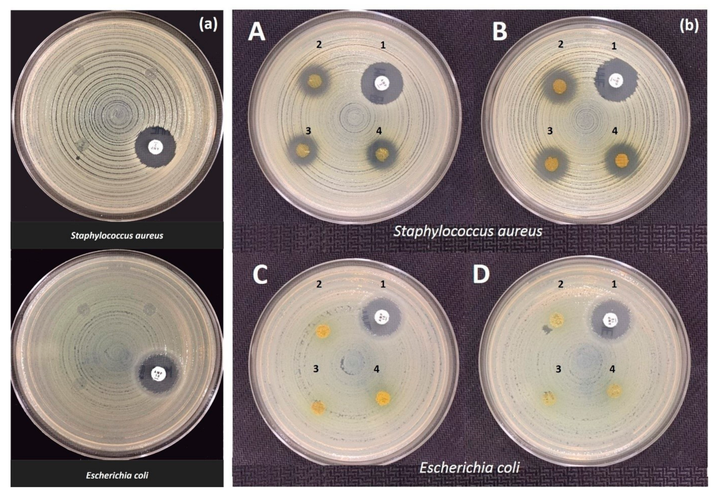 Molecules 25 05082 g006 Molecules 25 05082 g006