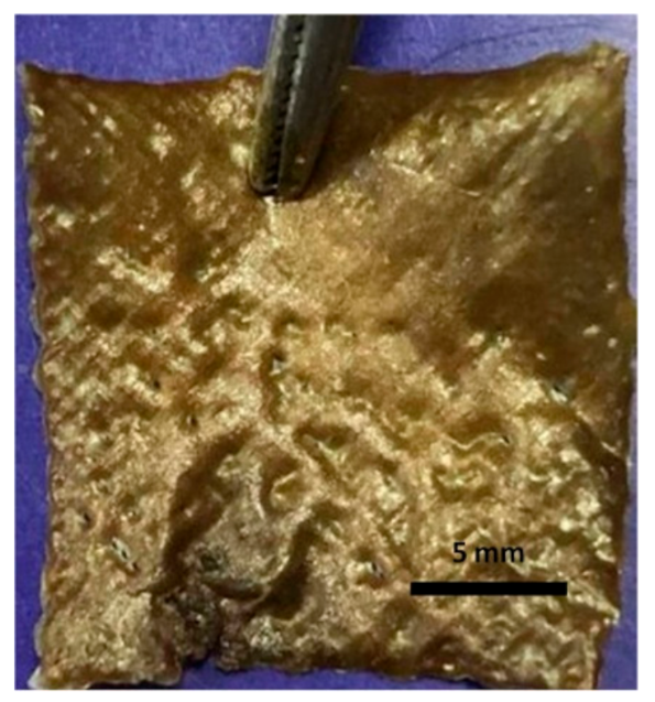 Molecules 25 05082 i004 Molecules 25 05082 i004