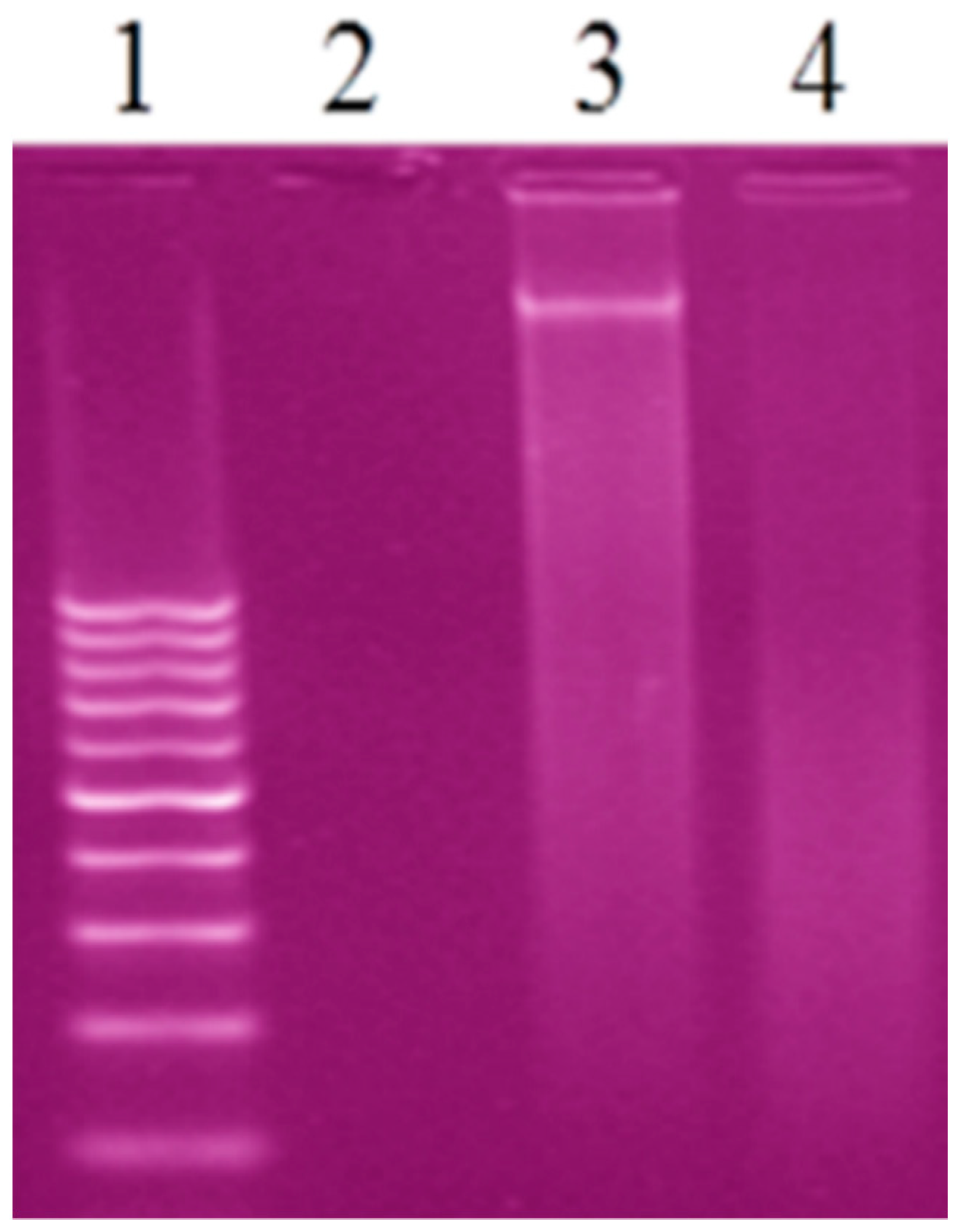 Molecules 25 05089 g008