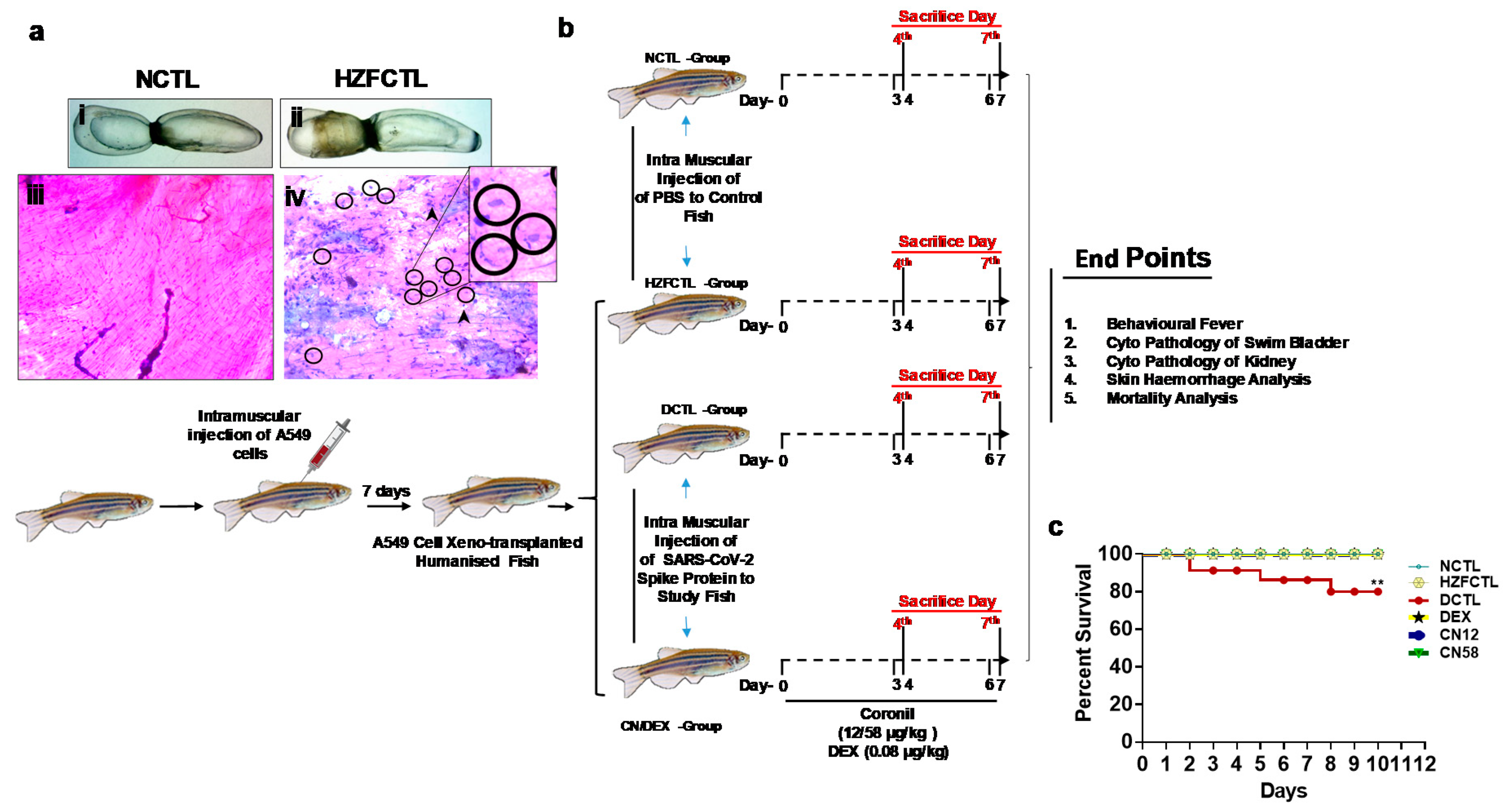 Molecules 25 05091 g002