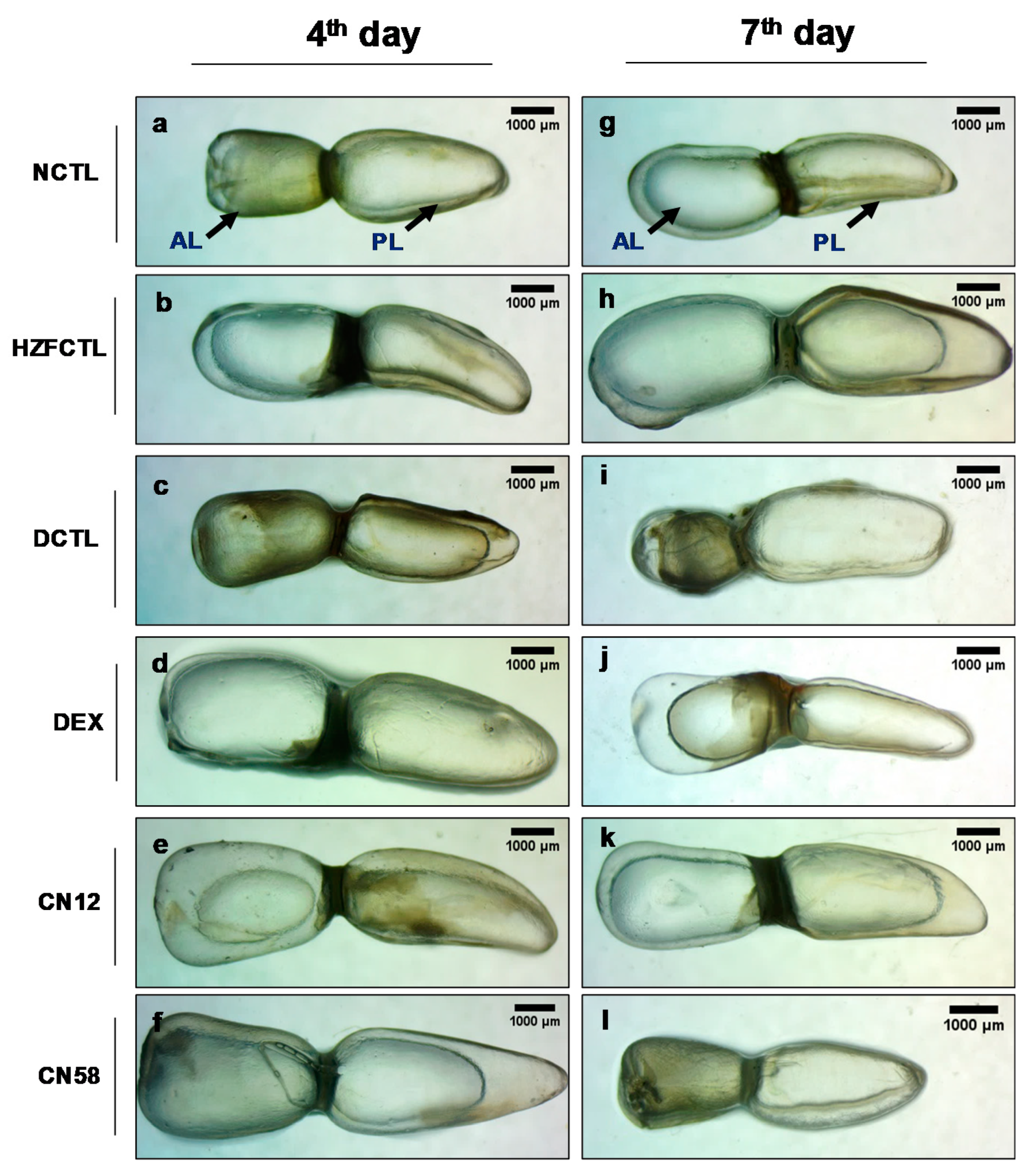 Molecules 25 05091 g004