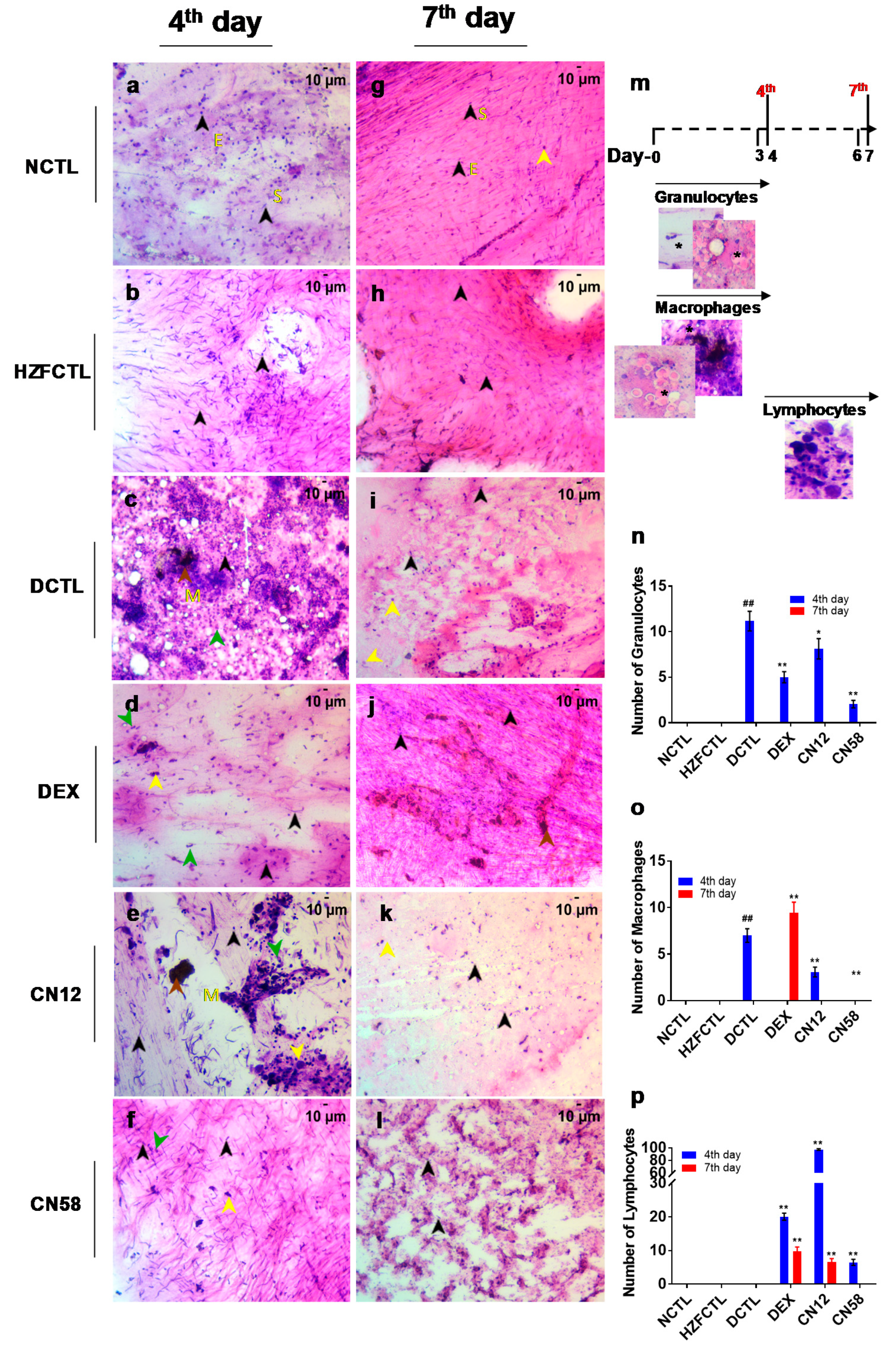 Molecules 25 05091 g005