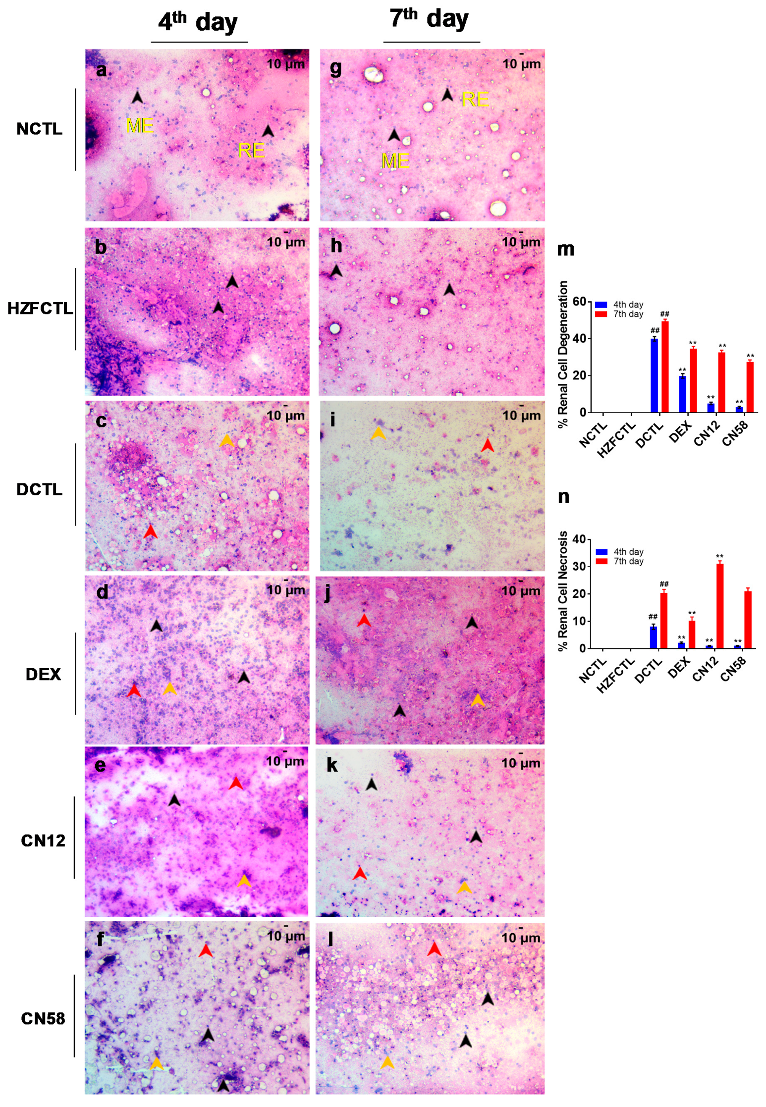 Molecules 25 05091 g007